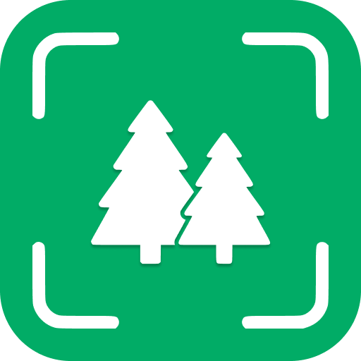 Tree Identifier logo