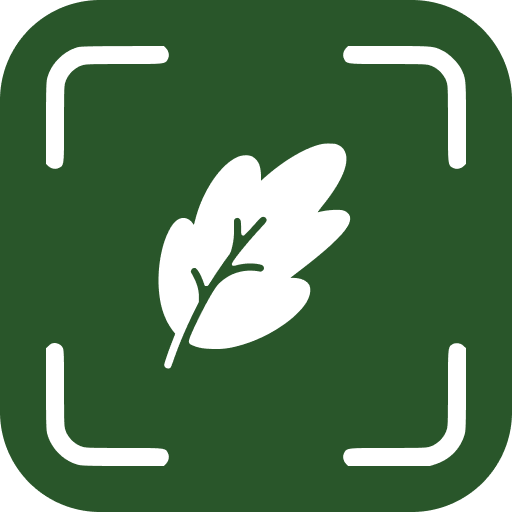 Leaf Identifier logo