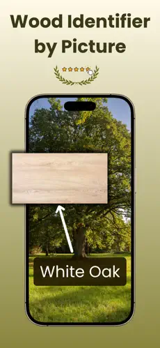 Wood Identifier screenshot 4
