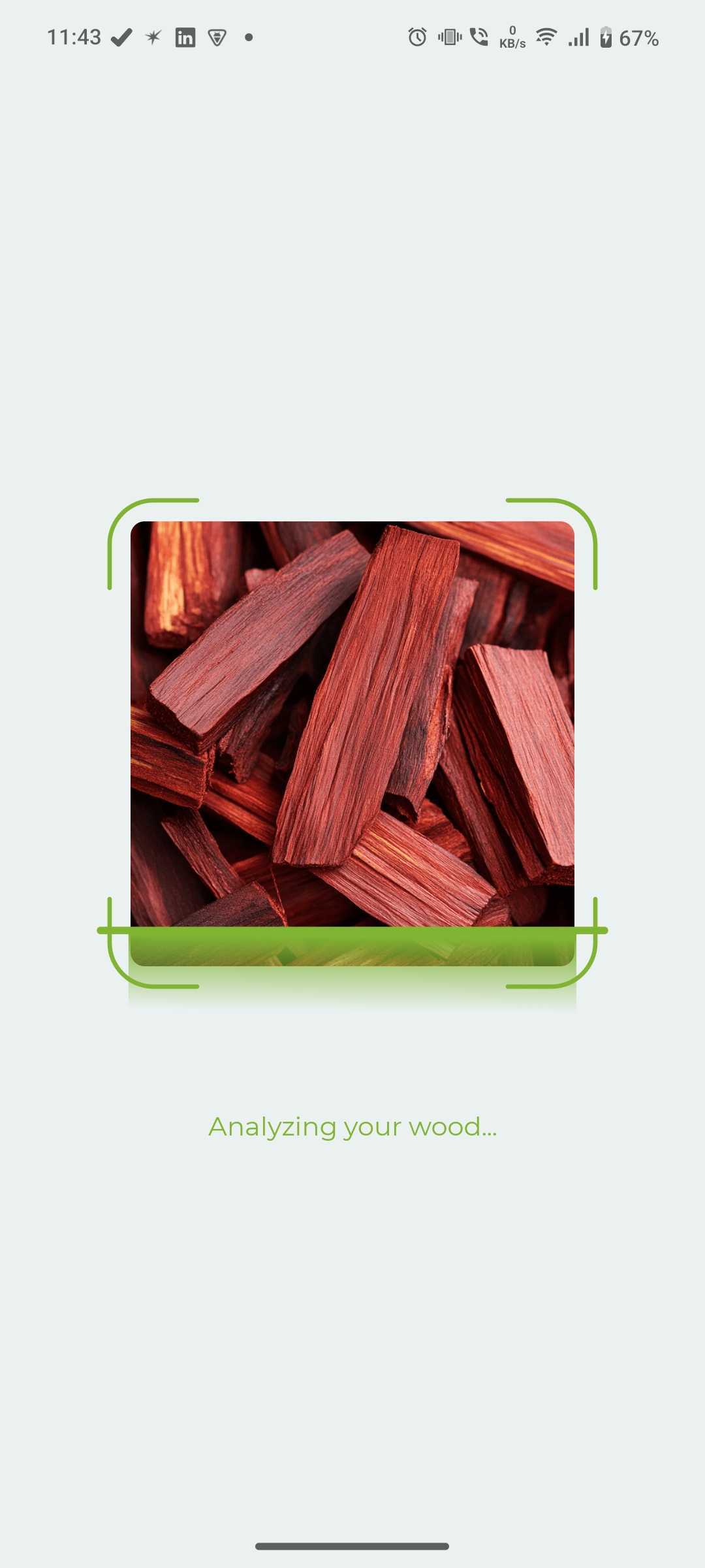 Wood Identifier screenshot 1