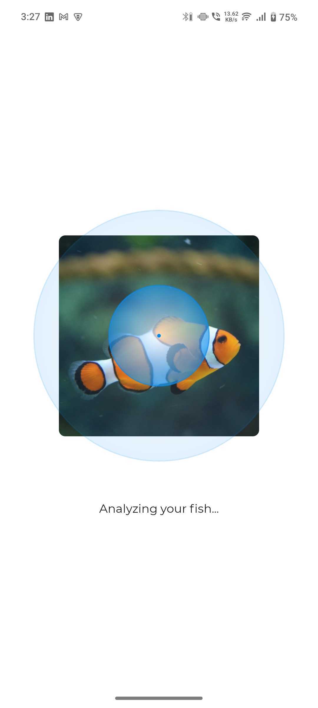 Fish Identifier screenshot 2