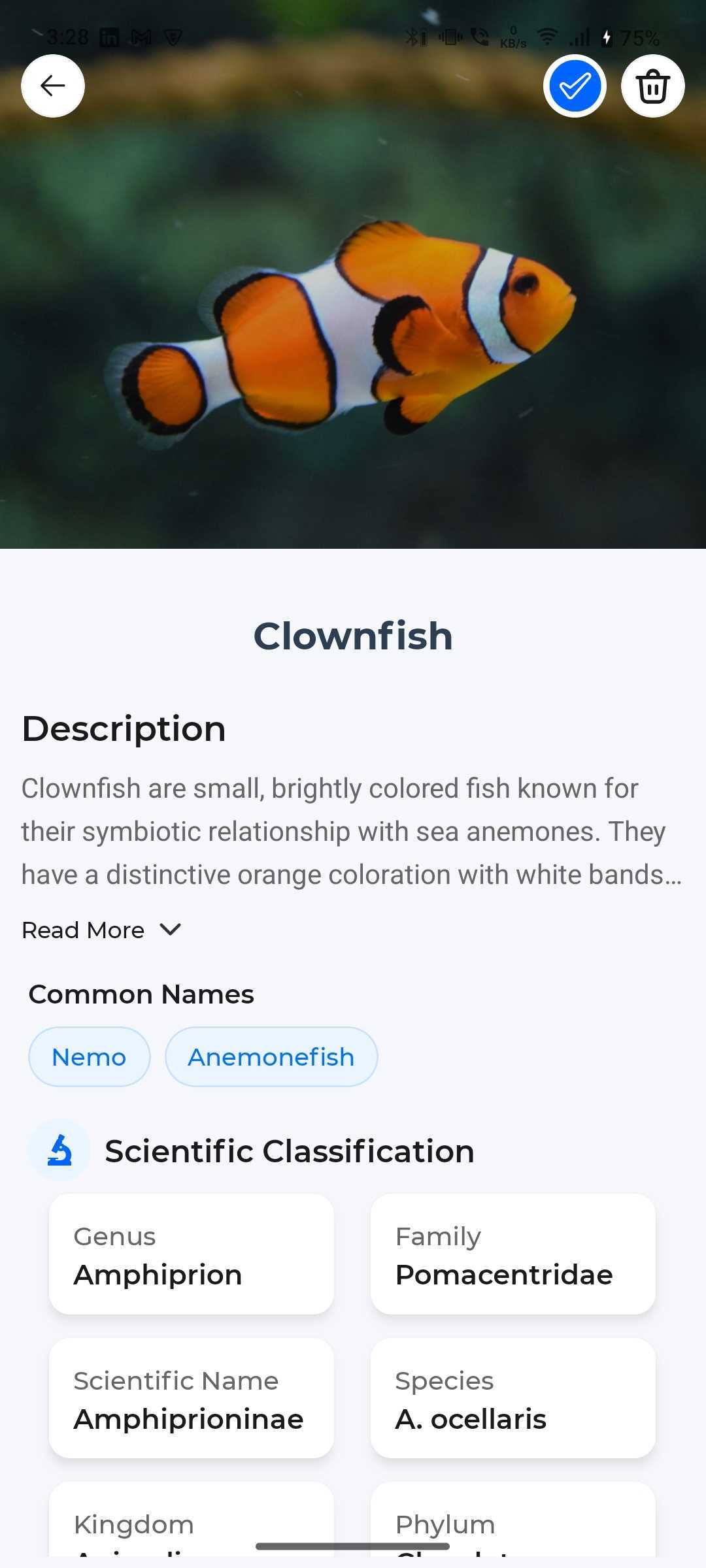 Fish Identifier screenshot 3