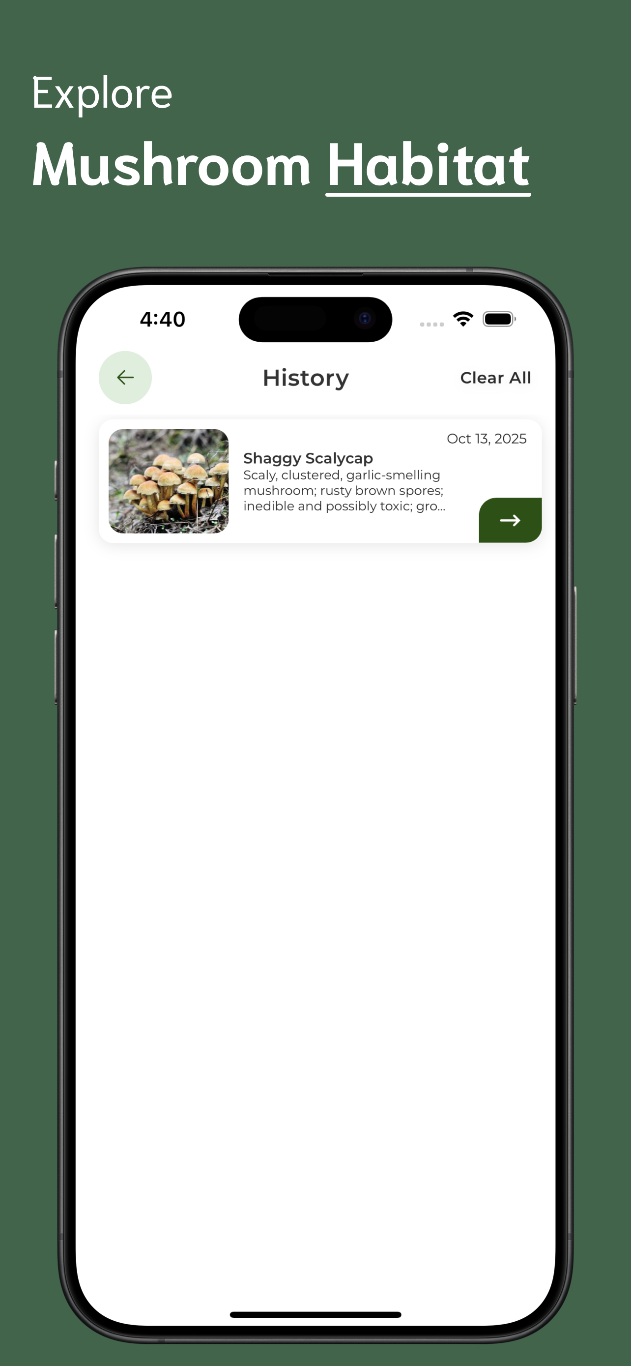 Mushroom Identifier screenshot 4