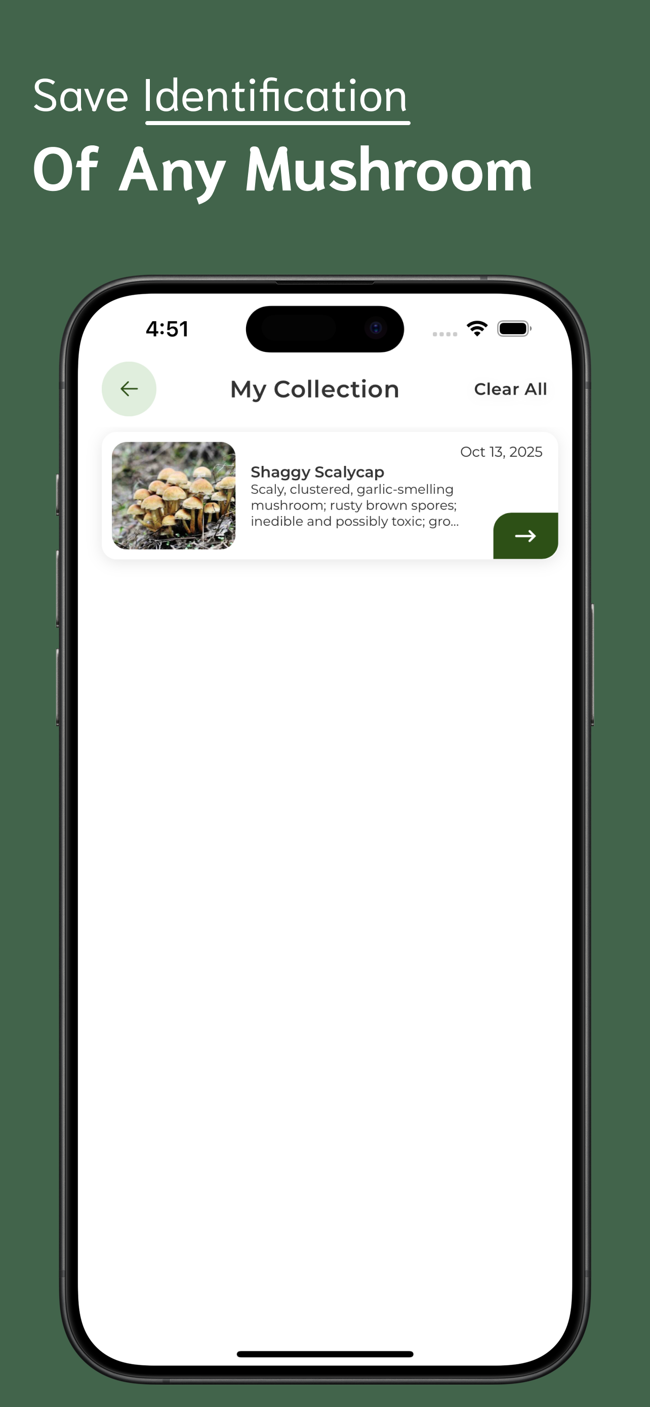 Mushroom Identifier screenshot 5
