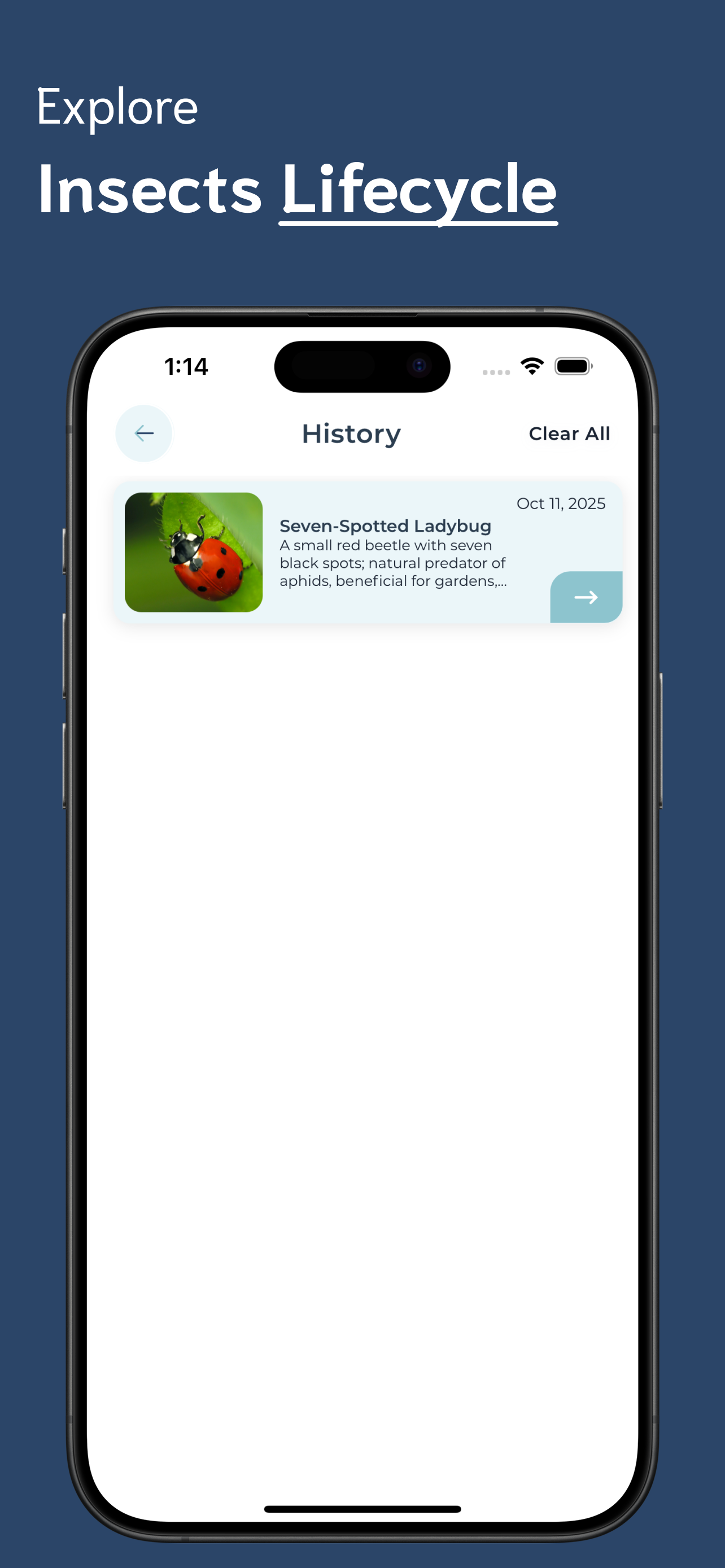 Insect Identifier screenshot 4