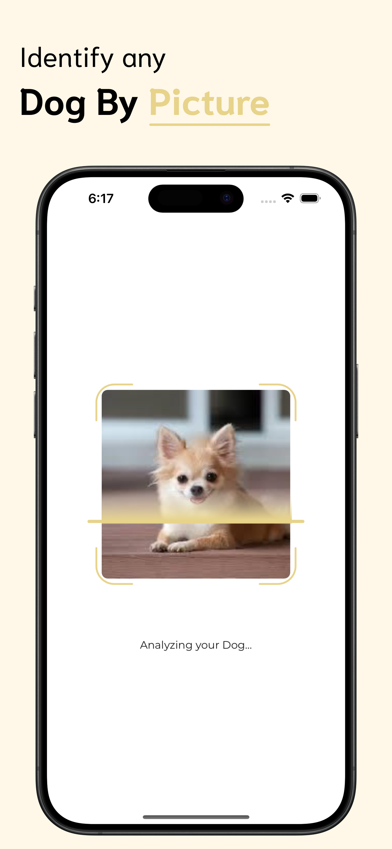 Dog Identifier screenshot 2