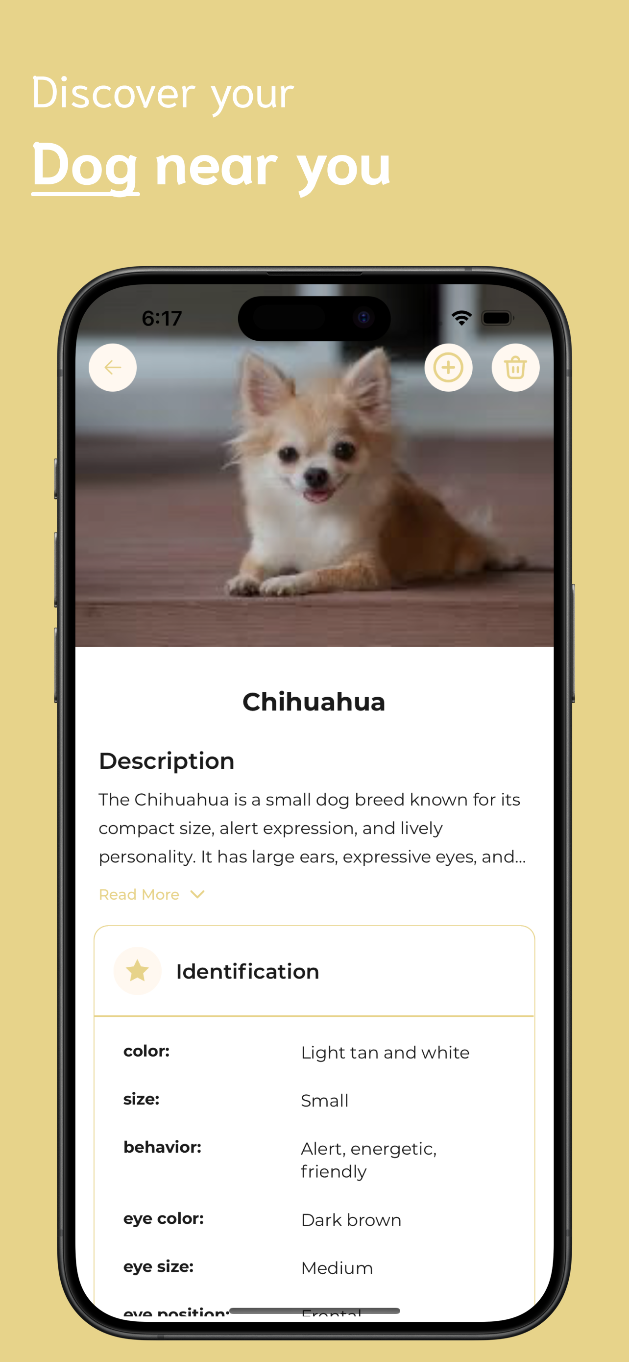 Dog Identifier screenshot 3