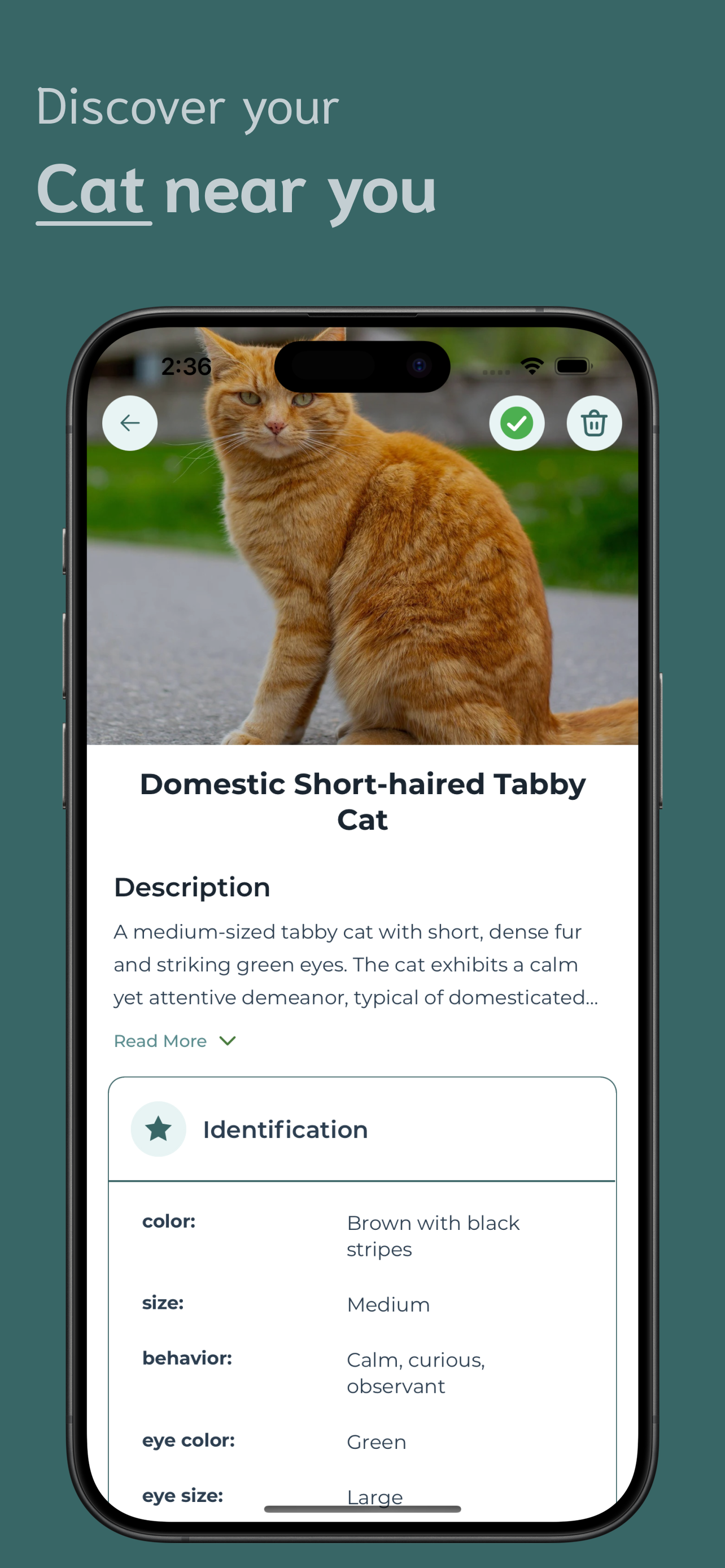Cat Identifier screenshot 3