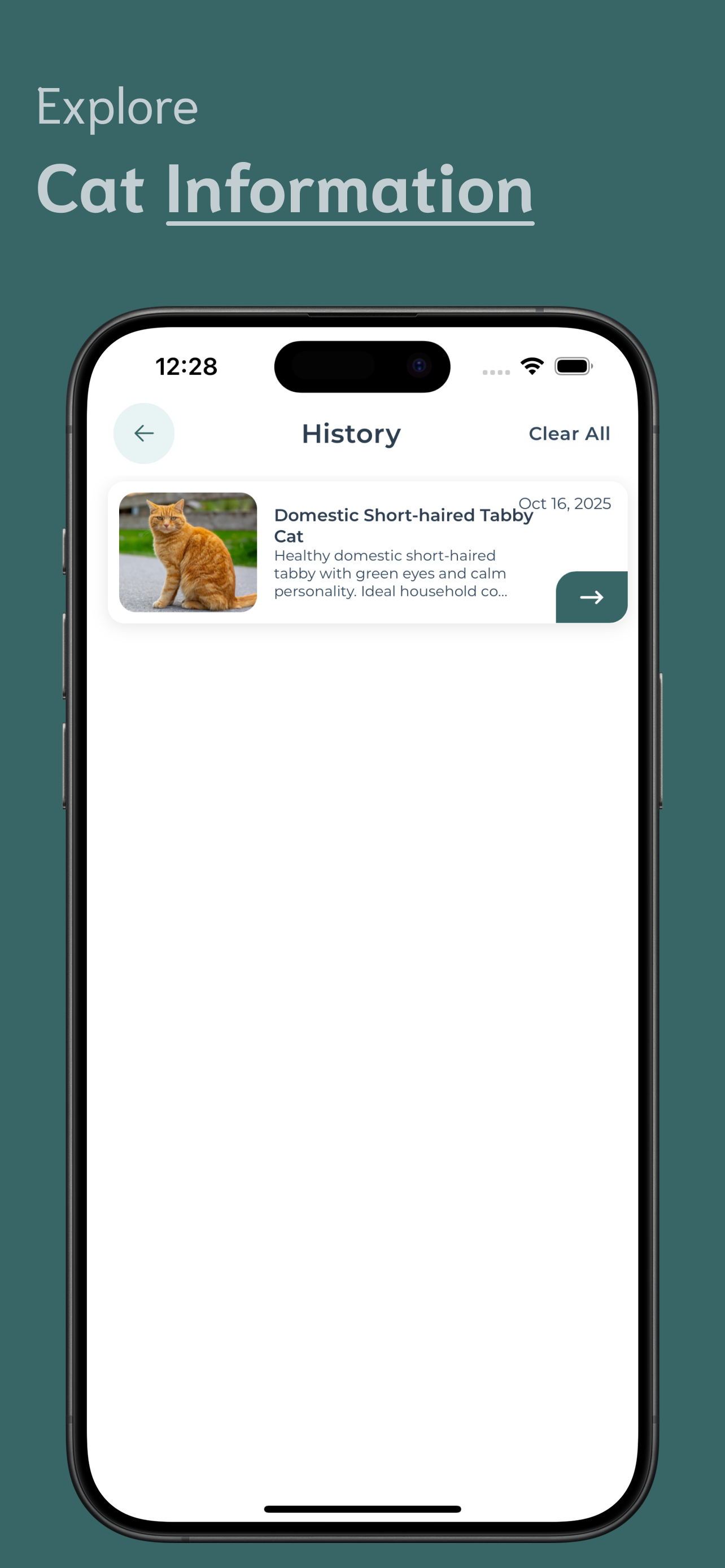 Cat Identifier screenshot 4