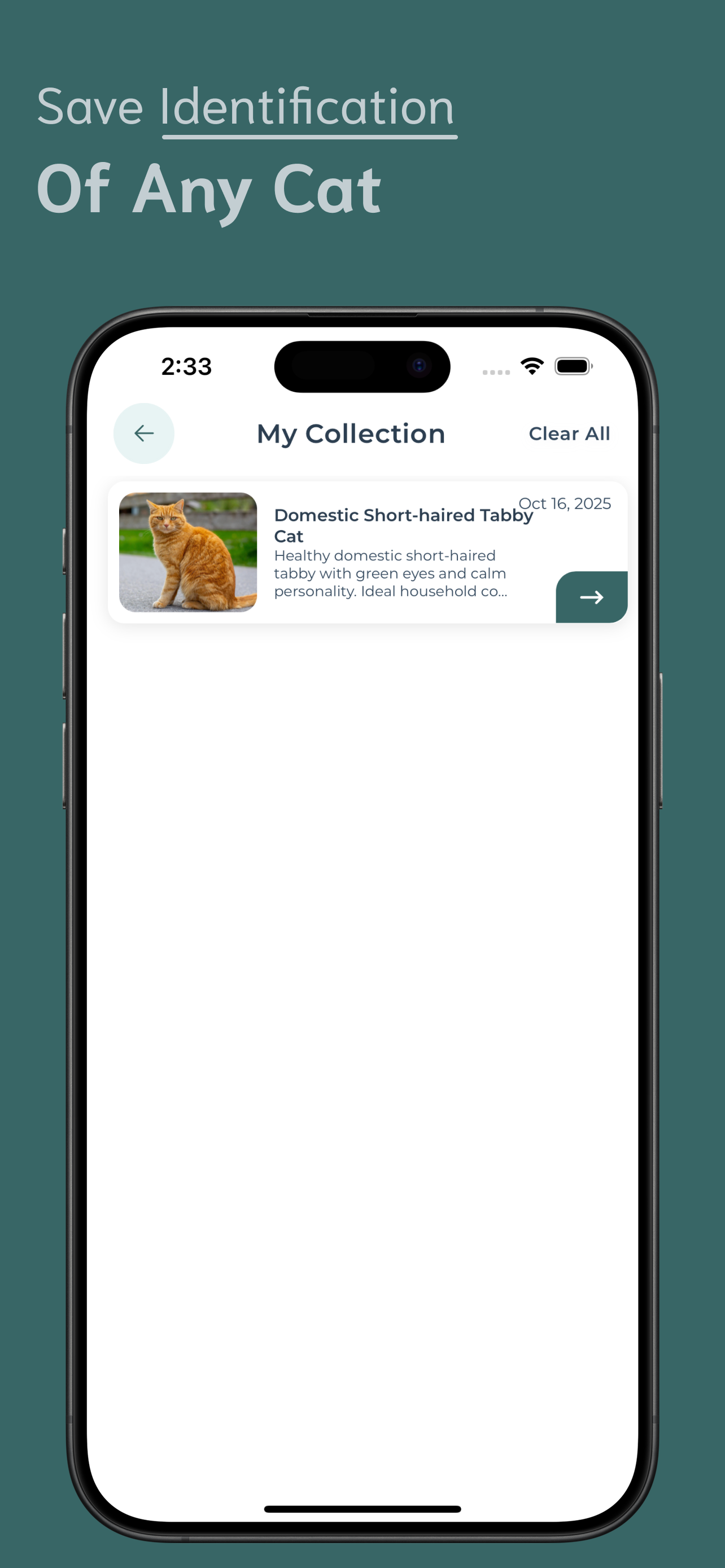 Cat Identifier screenshot 5