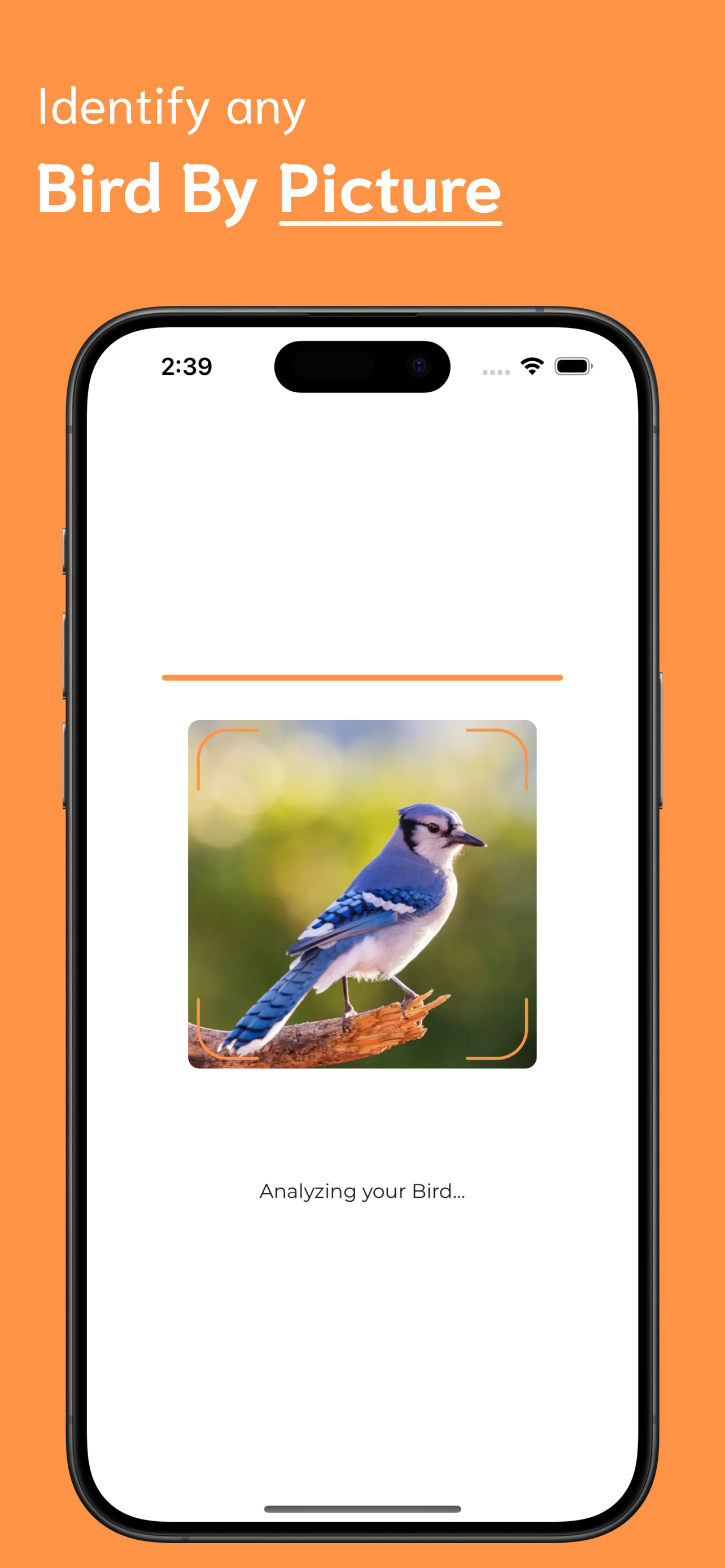 Bird Identifier screenshot 2