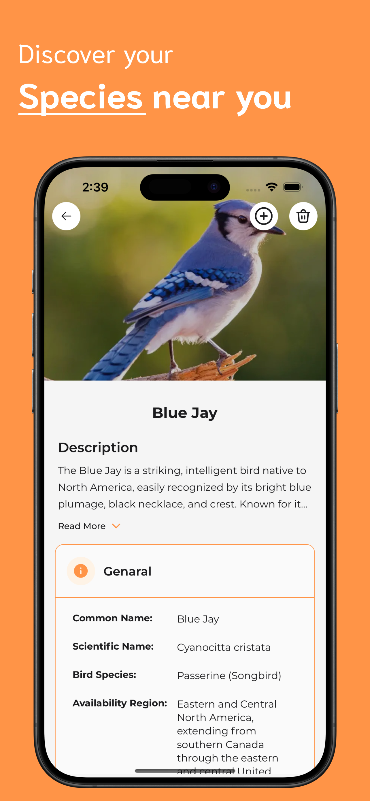 Bird Identifier screenshot 3