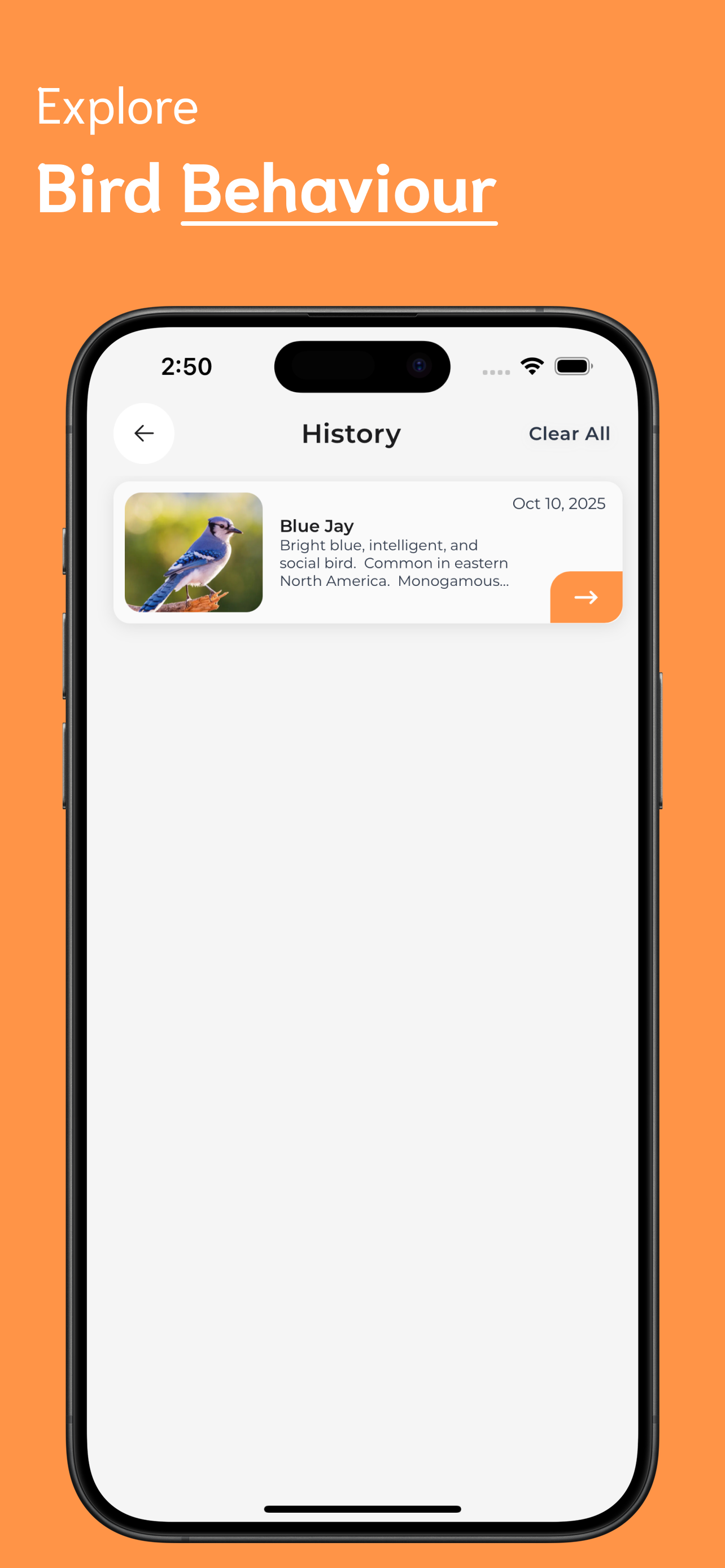 Bird Identifier screenshot 4