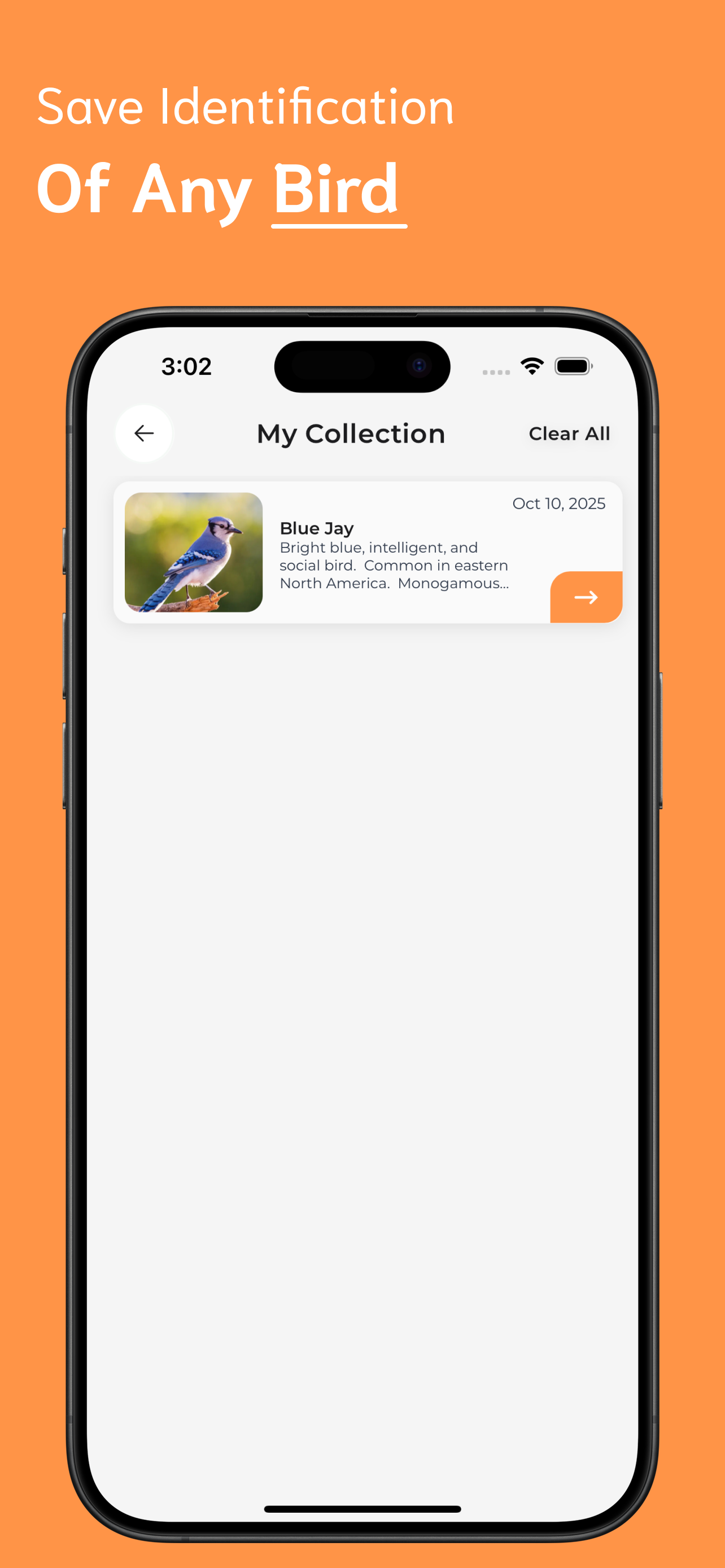 Bird Identifier screenshot 5