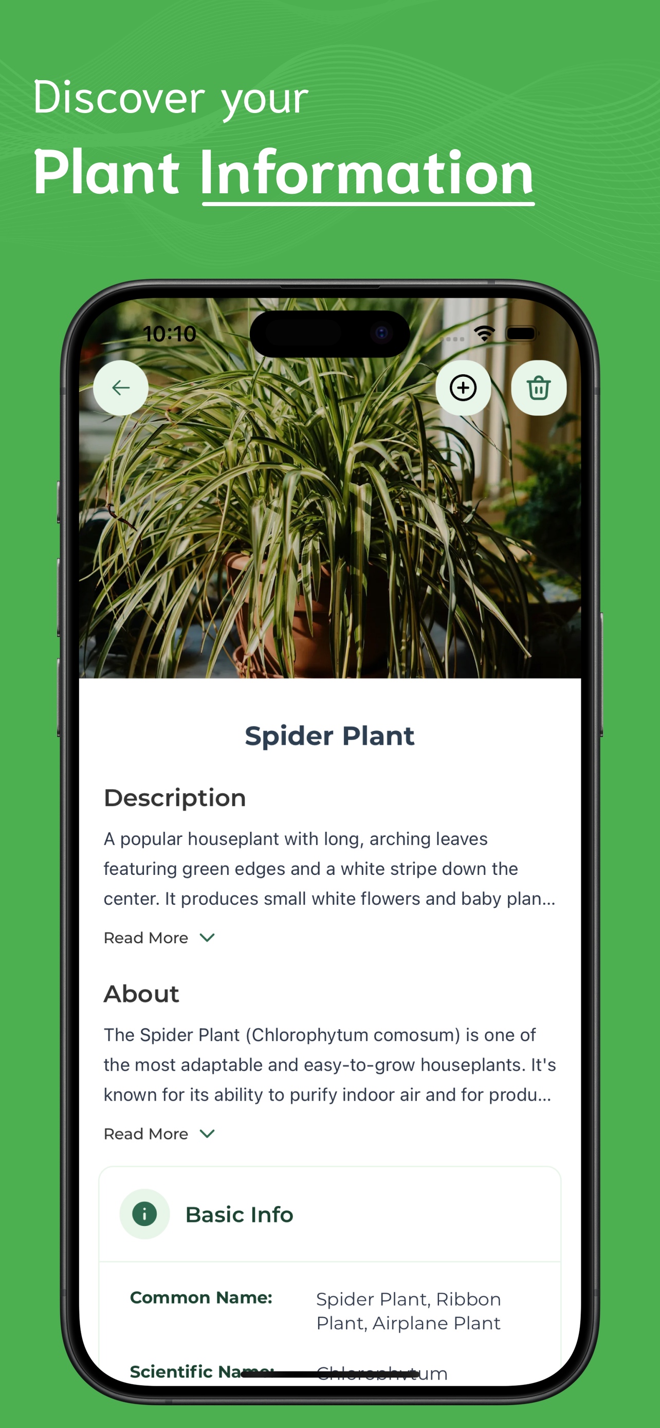 Plant Identifier screenshot 3