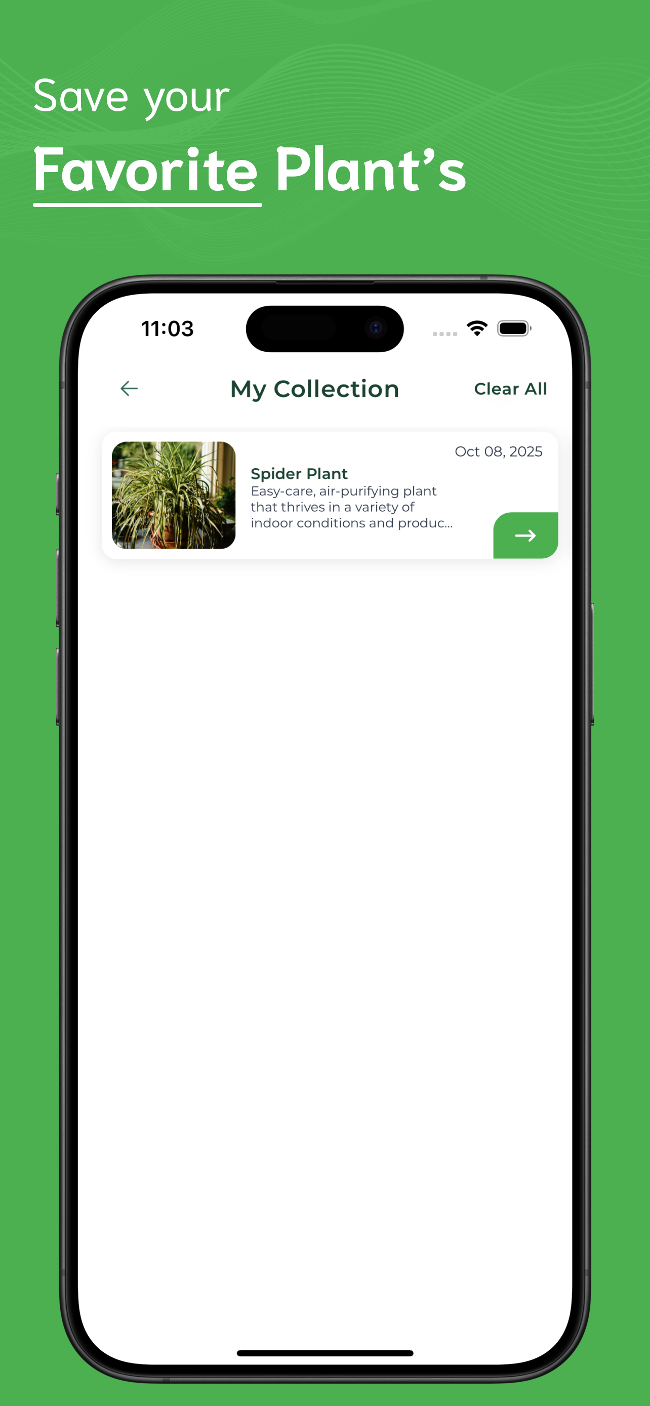 Plant Identifier screenshot 5