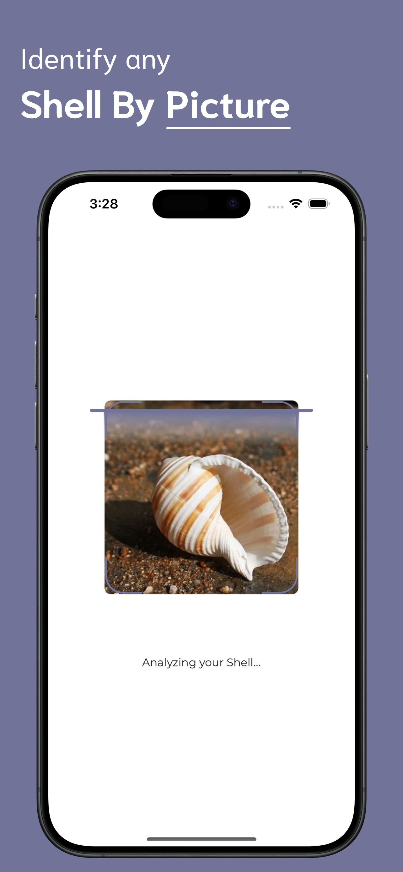 Shell Identifier screenshot 2
