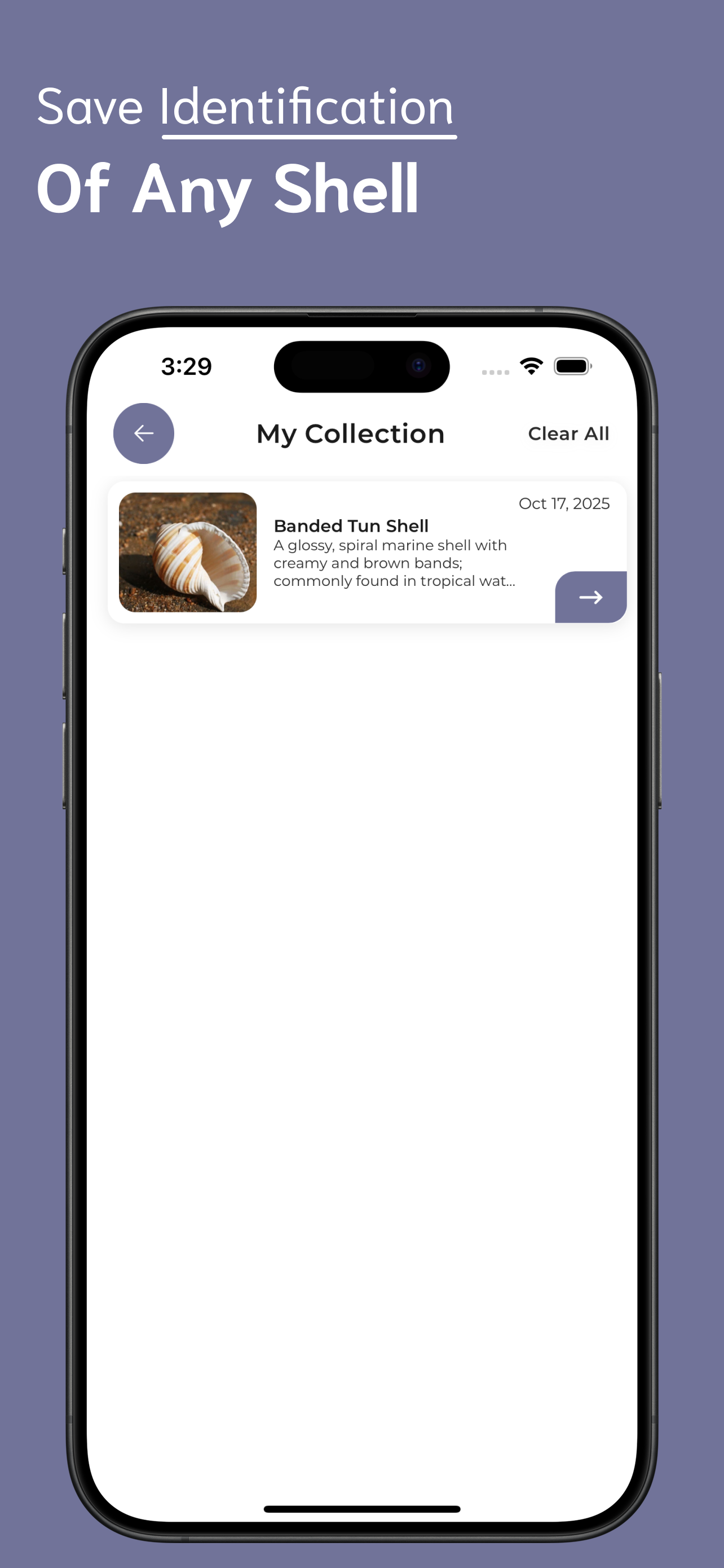 Shell Identifier screenshot 5