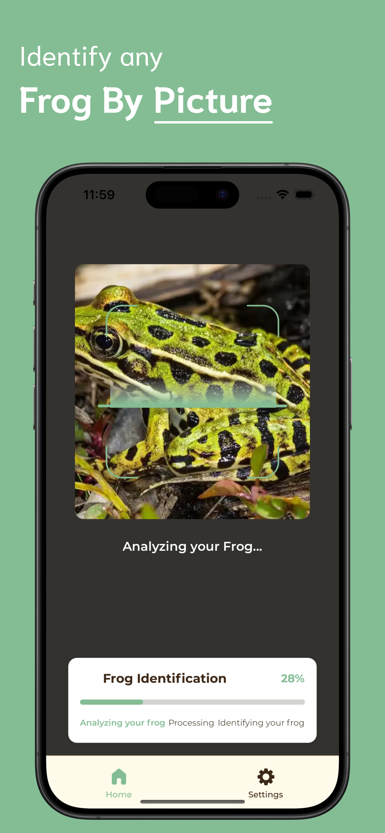 Frog Identifier screenshot 2
