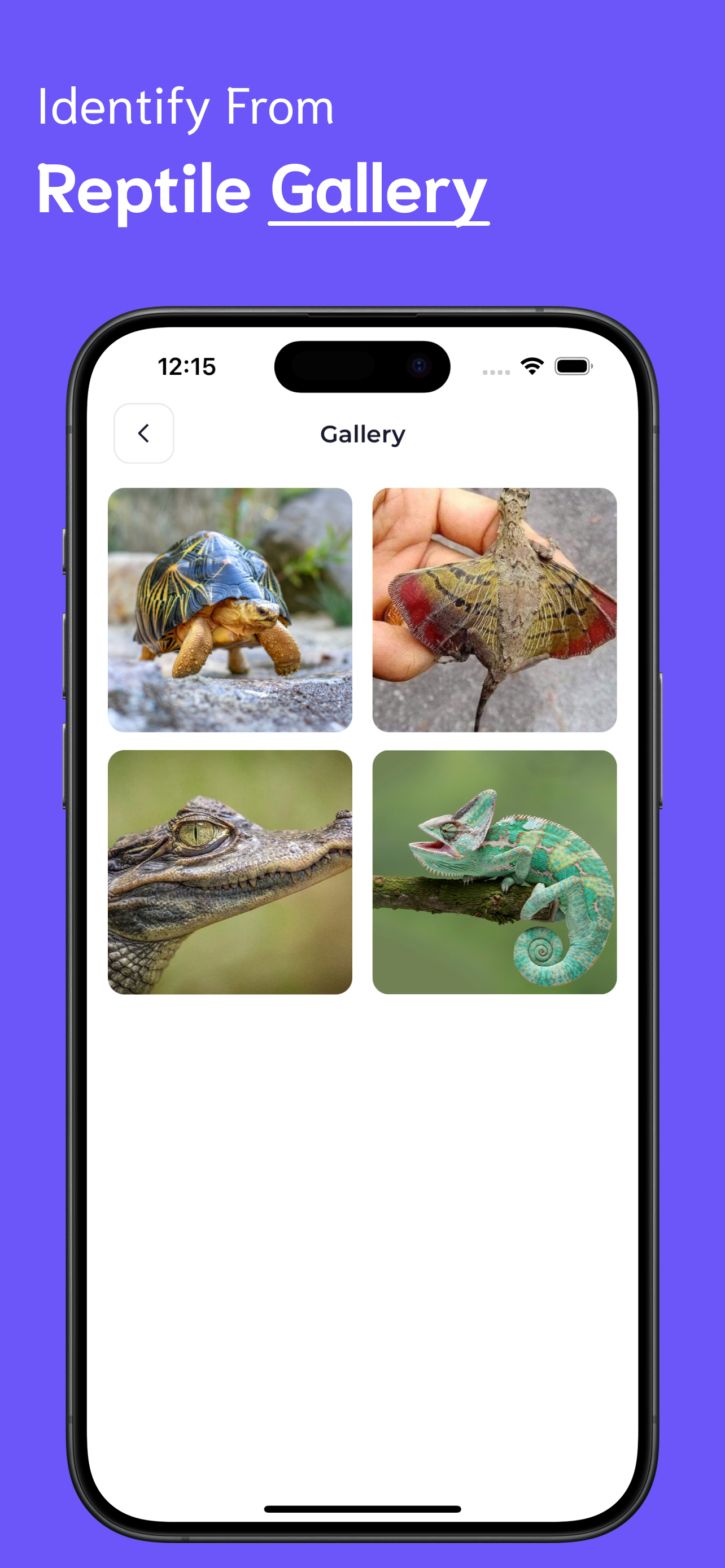 Reptile Identifier screenshot 6