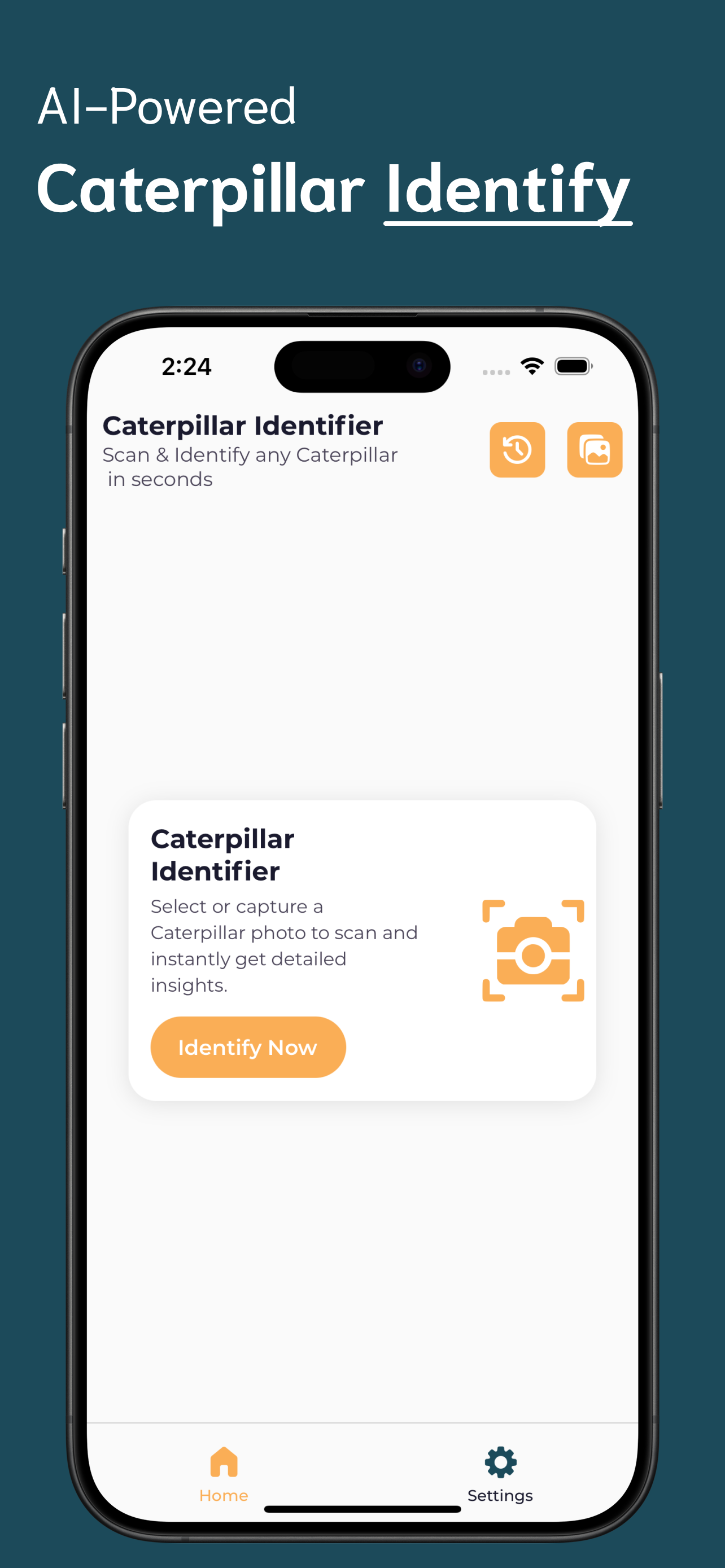Caterpillar Identifier screenshot 1