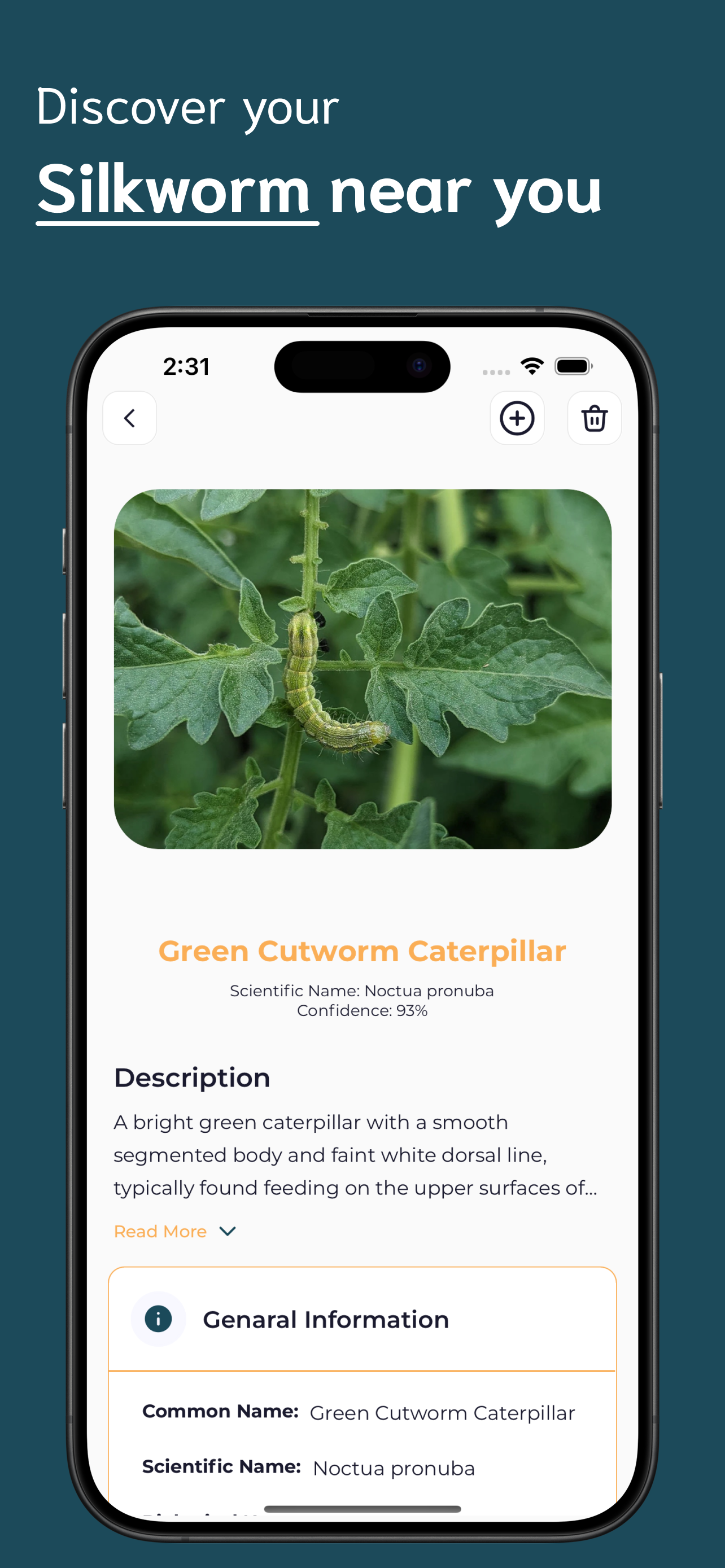 Caterpillar Identifier screenshot 3