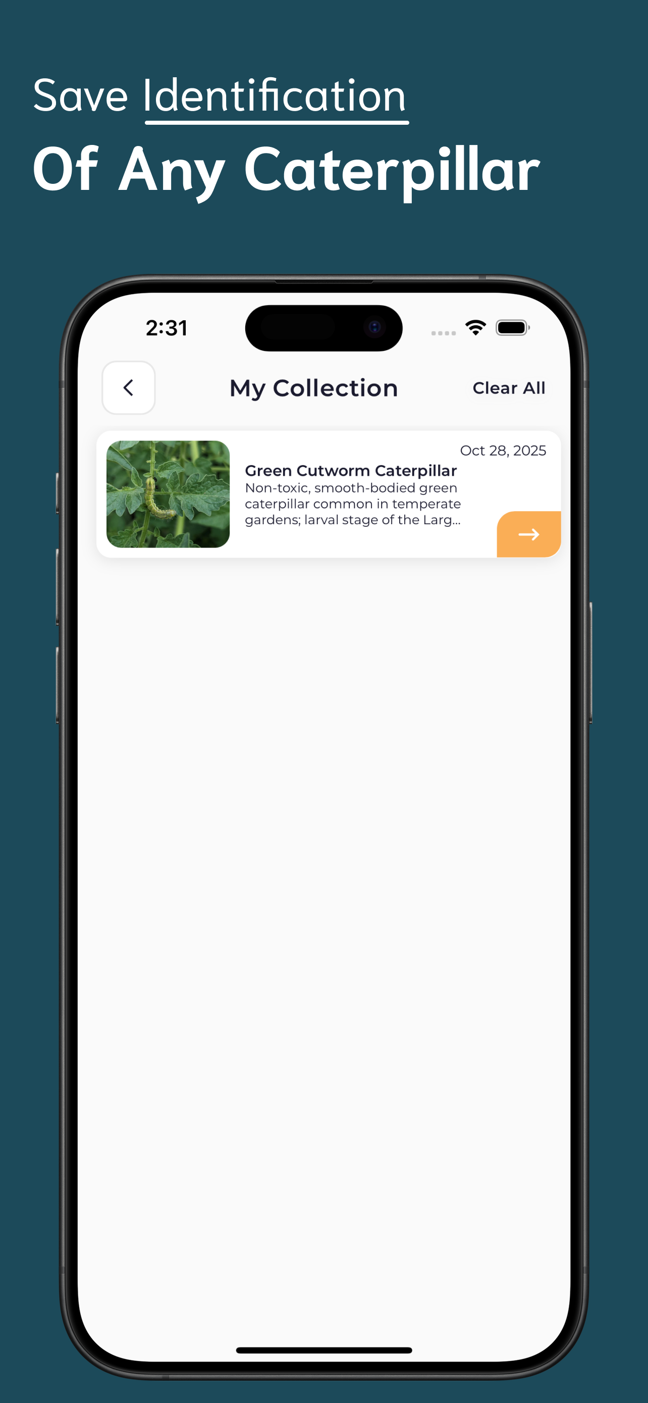Caterpillar Identifier screenshot 5