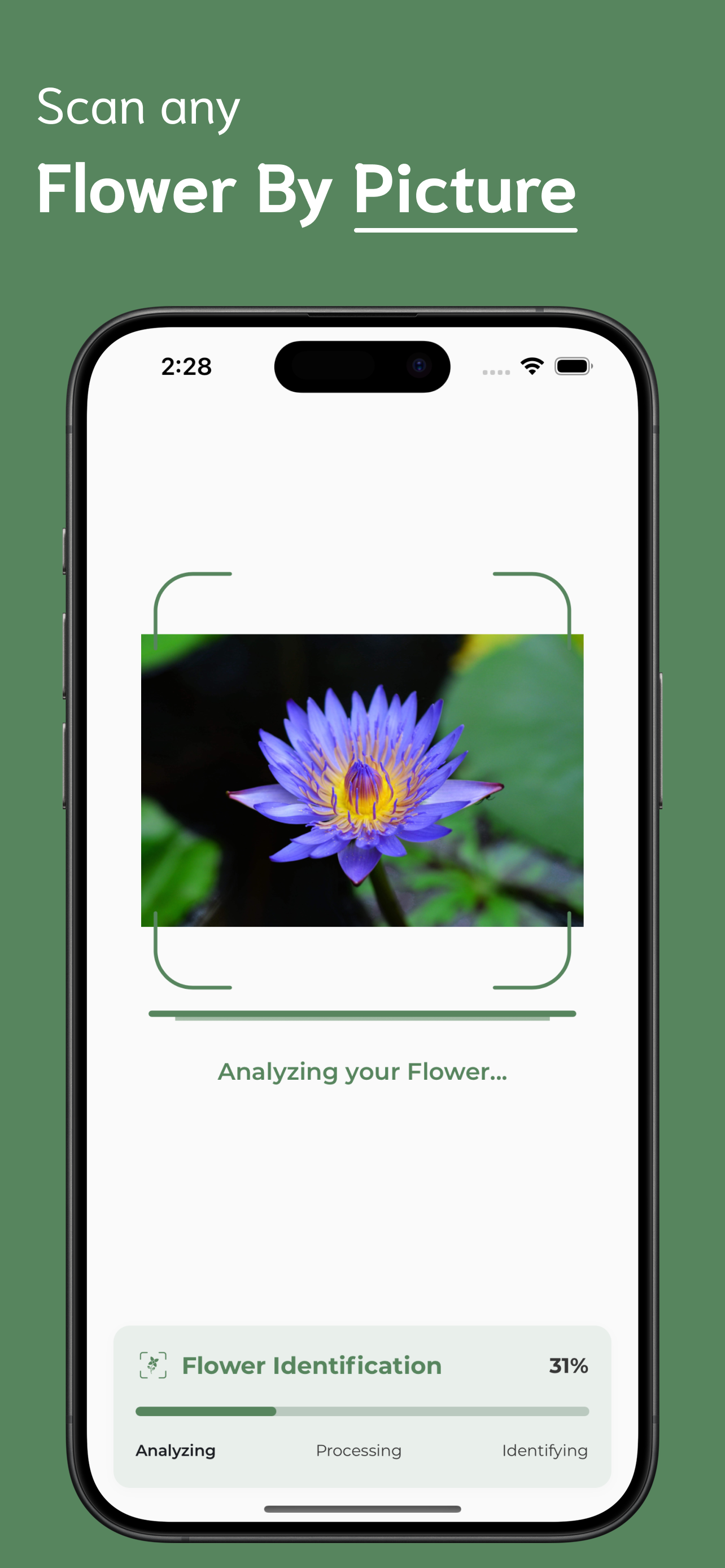 Flower Identifier screenshot 2