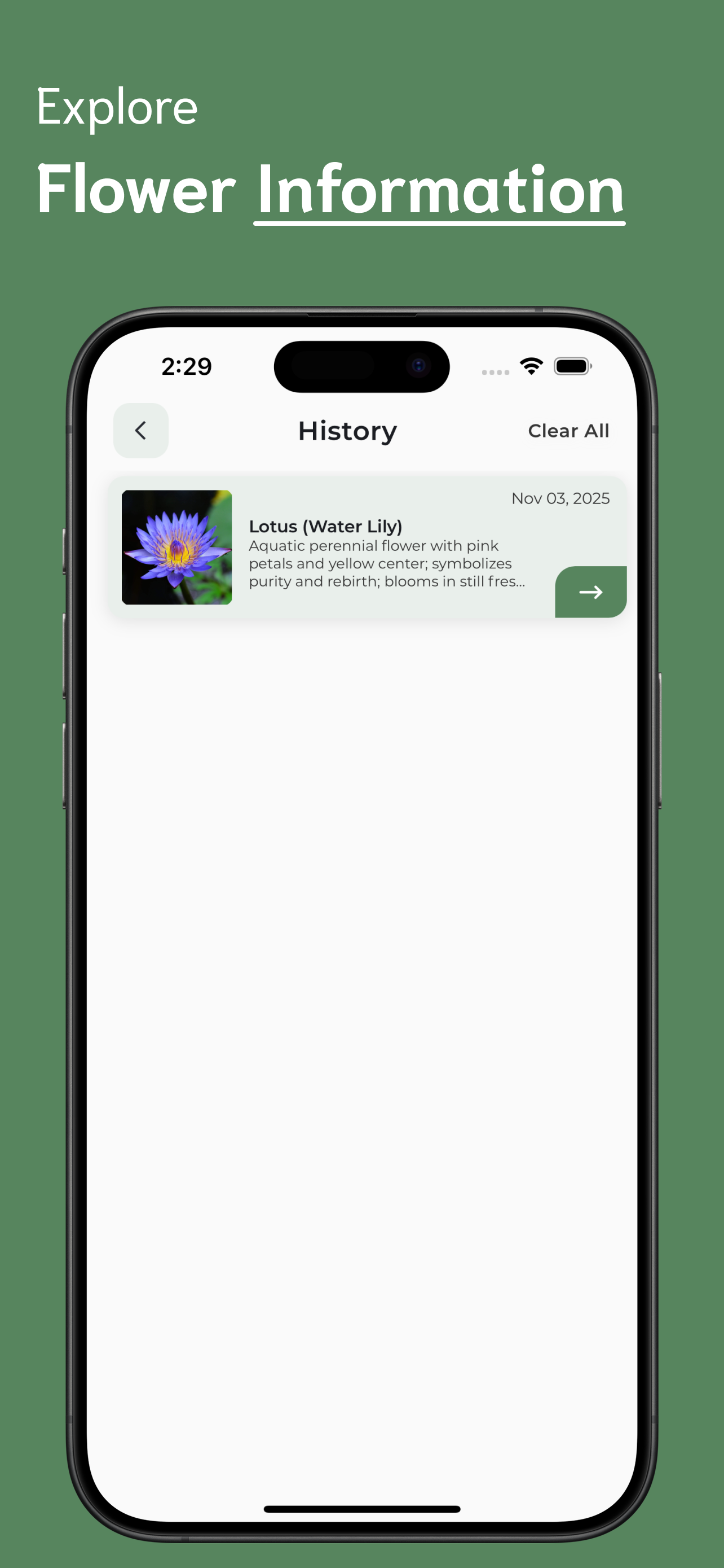Flower Identifier screenshot 4