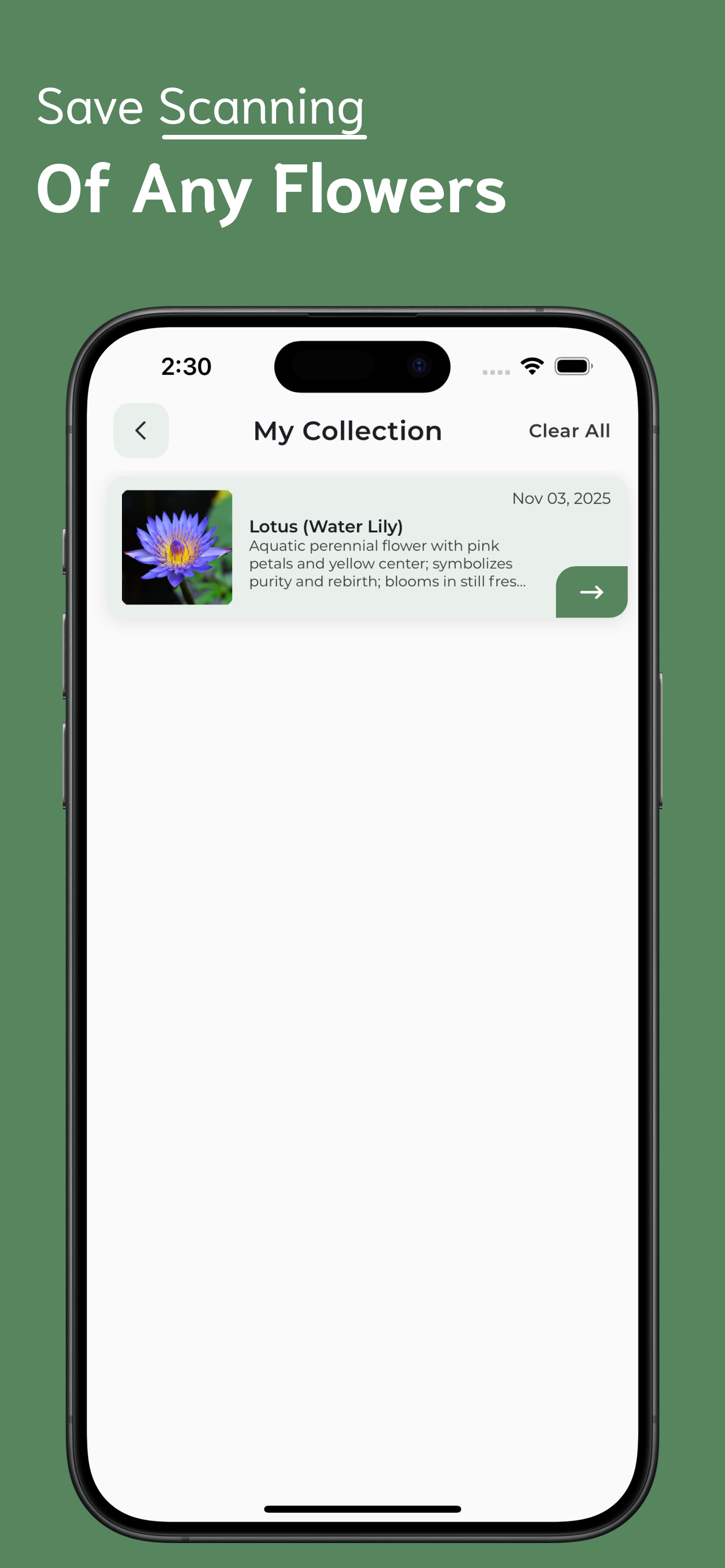 Flower Identifier screenshot 5