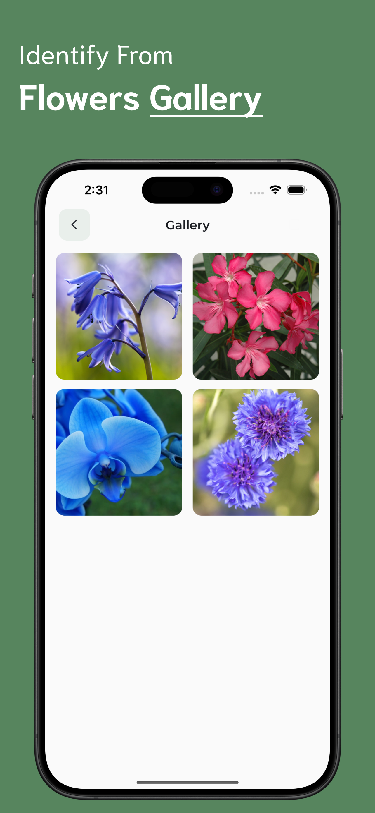 Flower Identifier screenshot 6