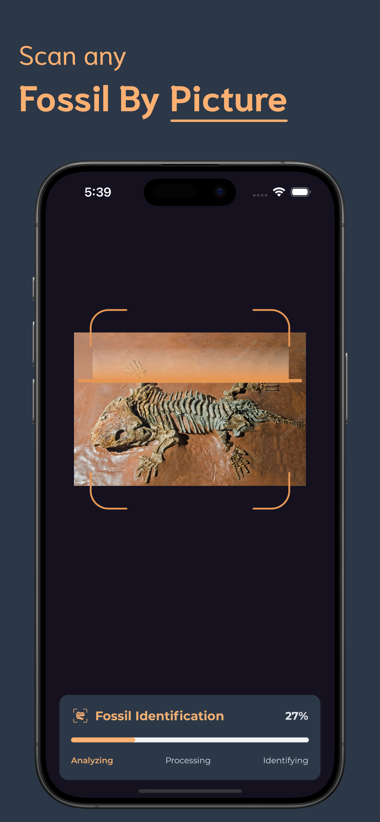 Fossil Identifier screenshot 2