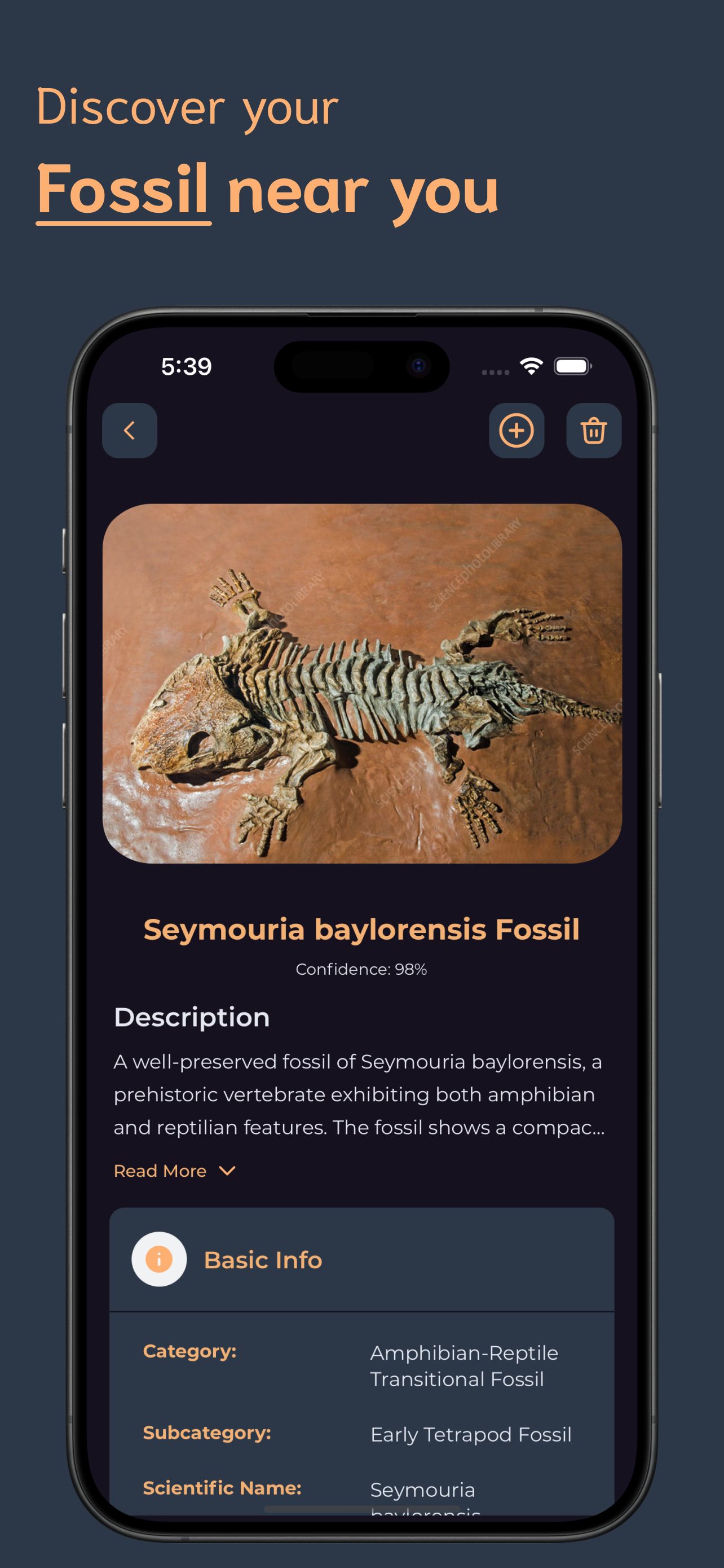 Fossil Identifier screenshot 3