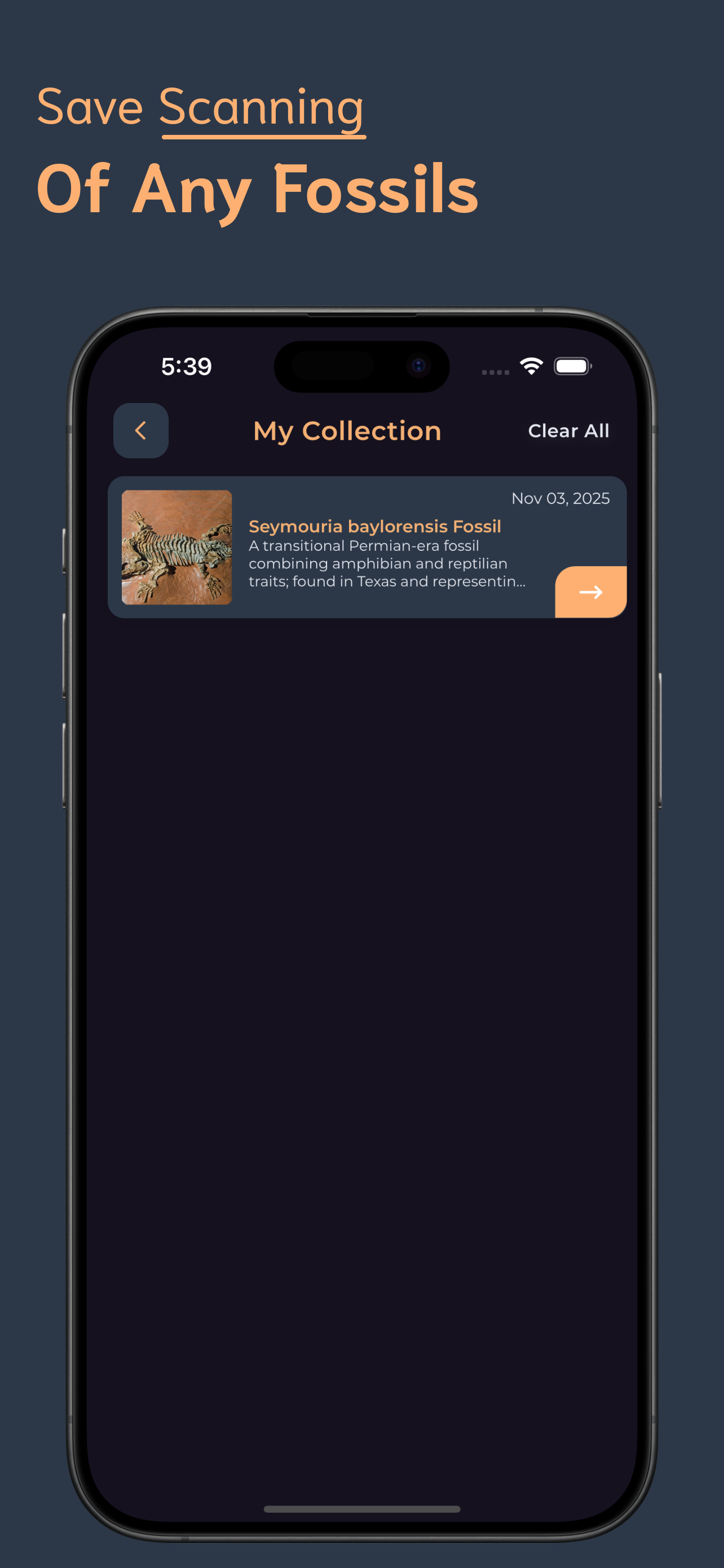 Fossil Identifier screenshot 5
