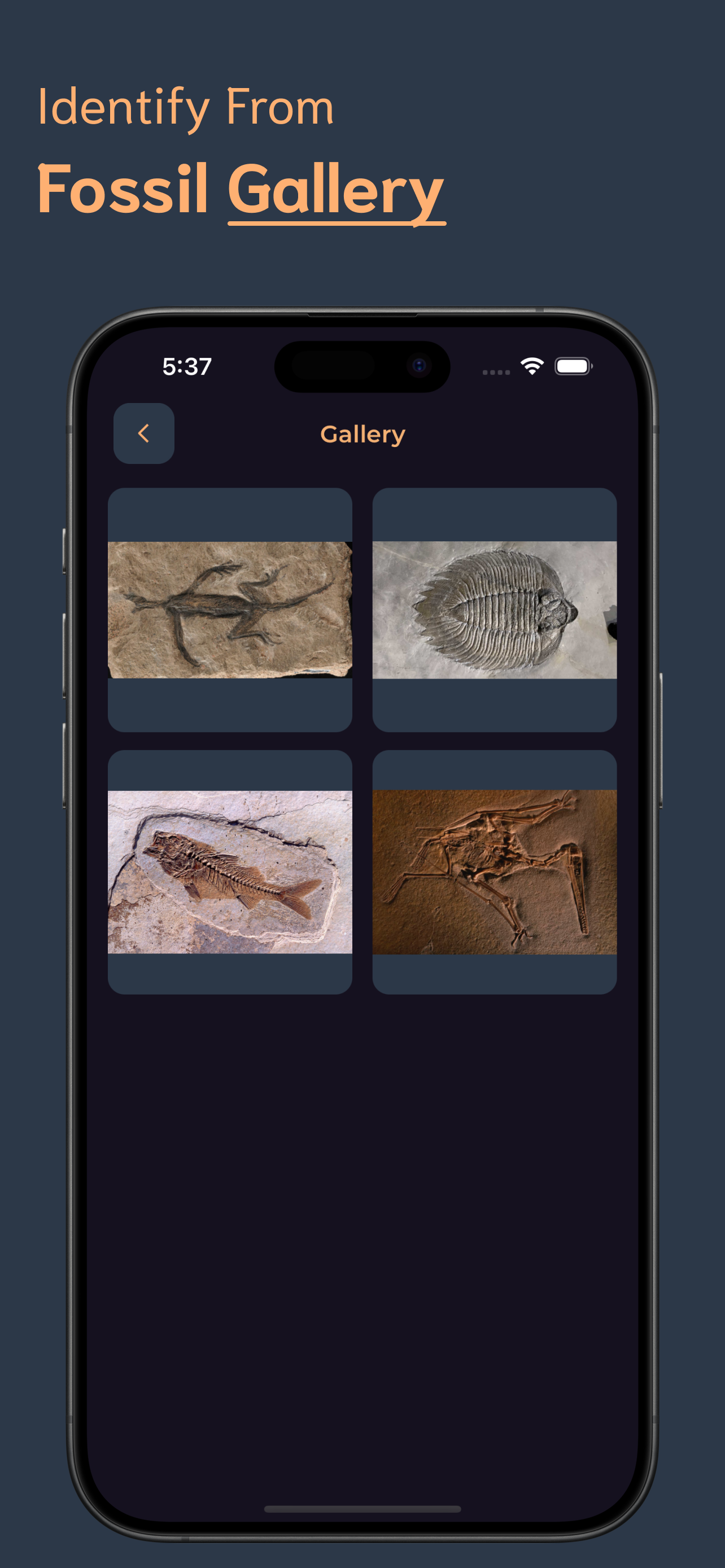 Fossil Identifier screenshot 6