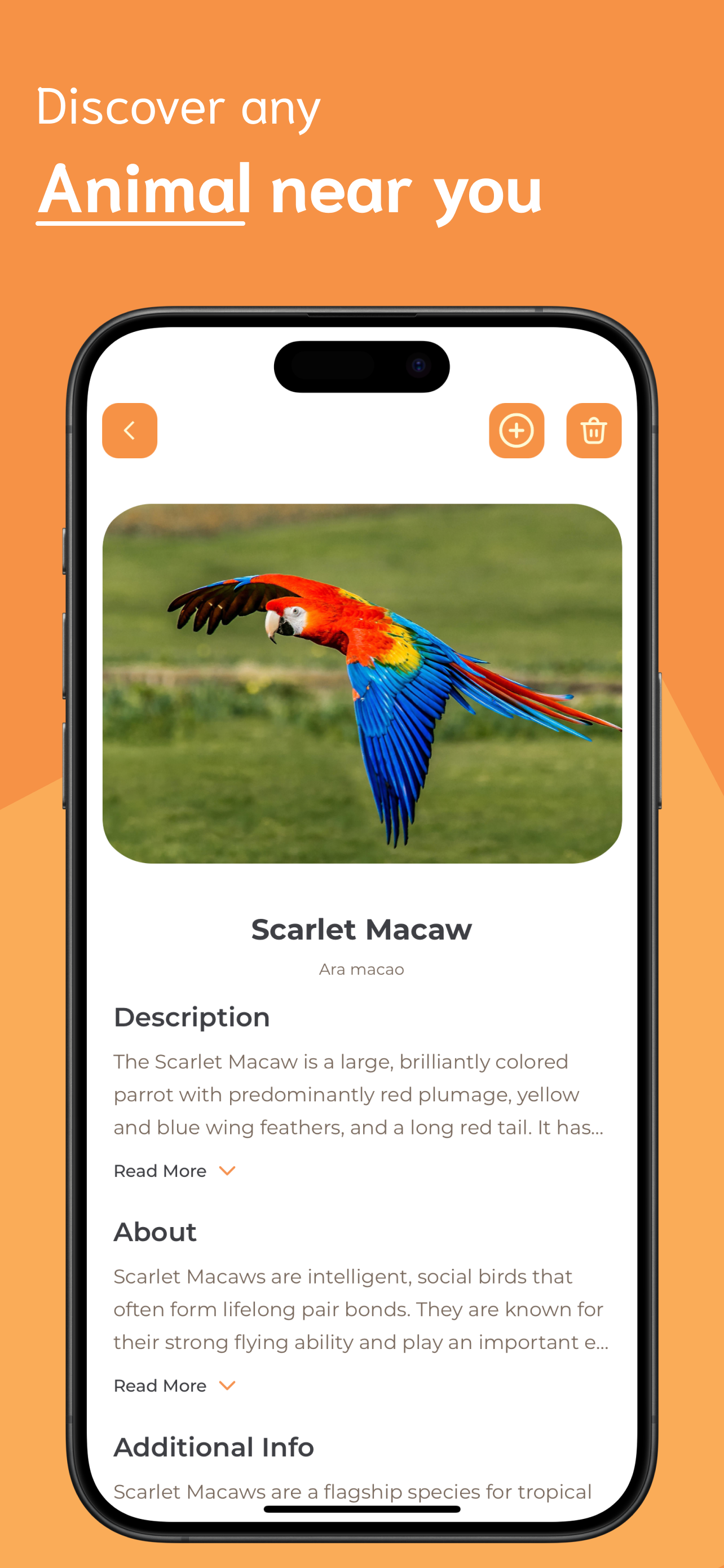 Animal Identifier screenshot 3