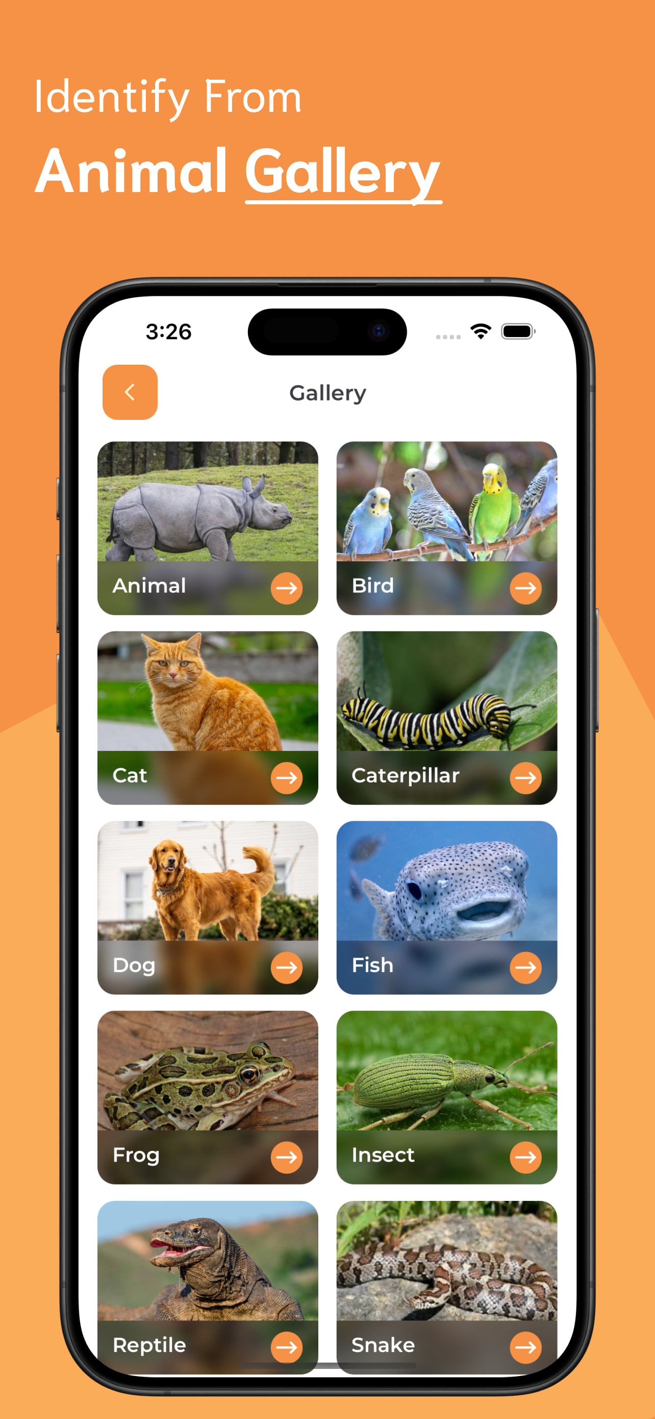 Animal Identifier screenshot 6