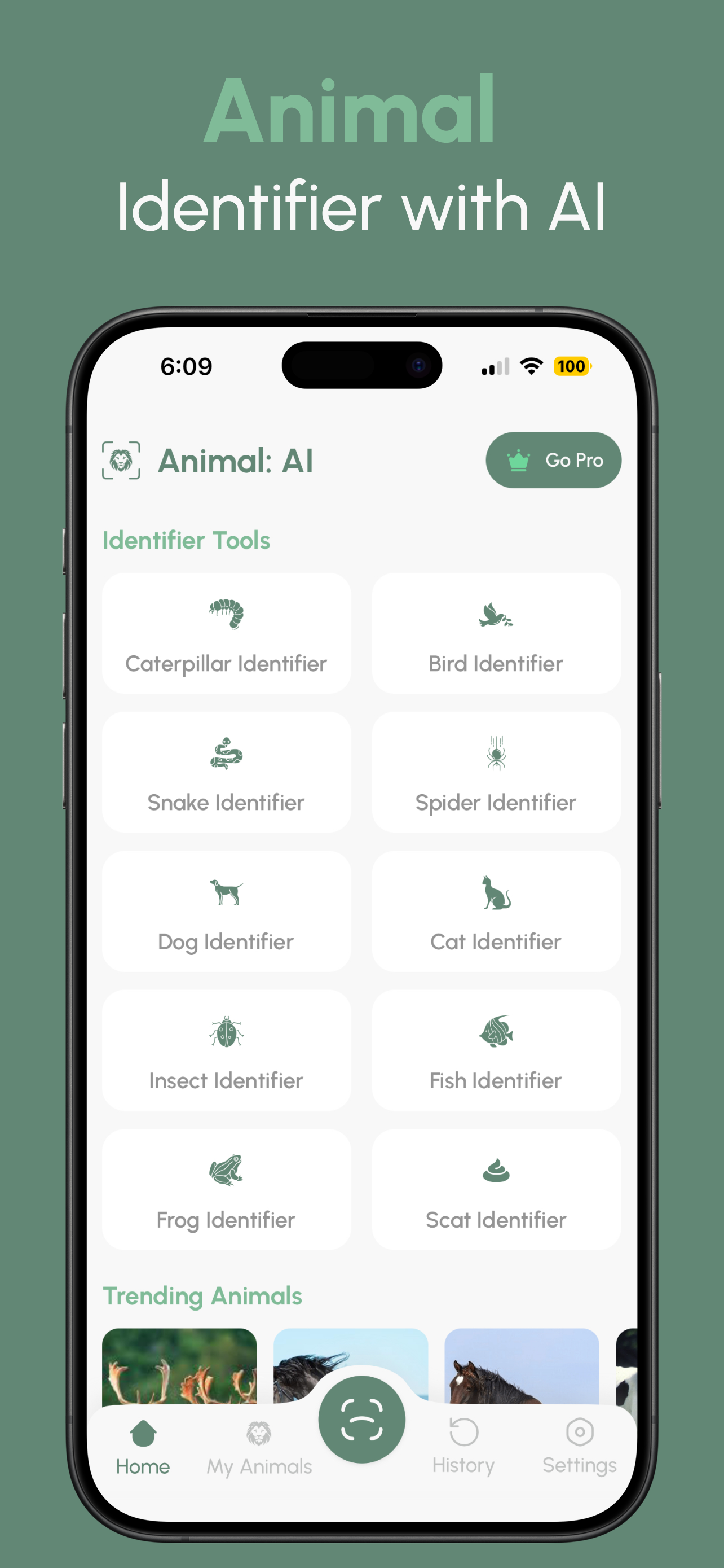 Animal Identifier: AI screenshot 1