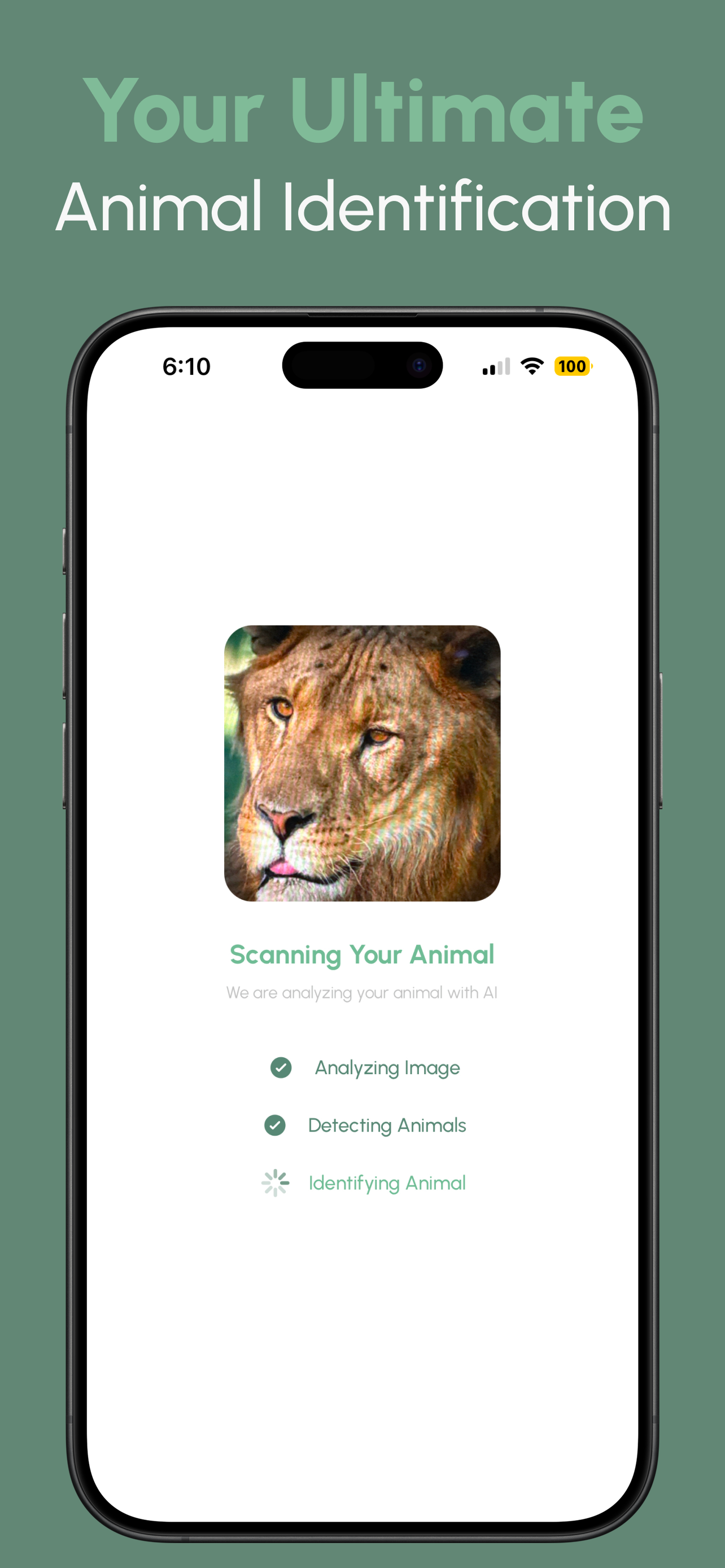 Animal Identifier: AI screenshot 2
