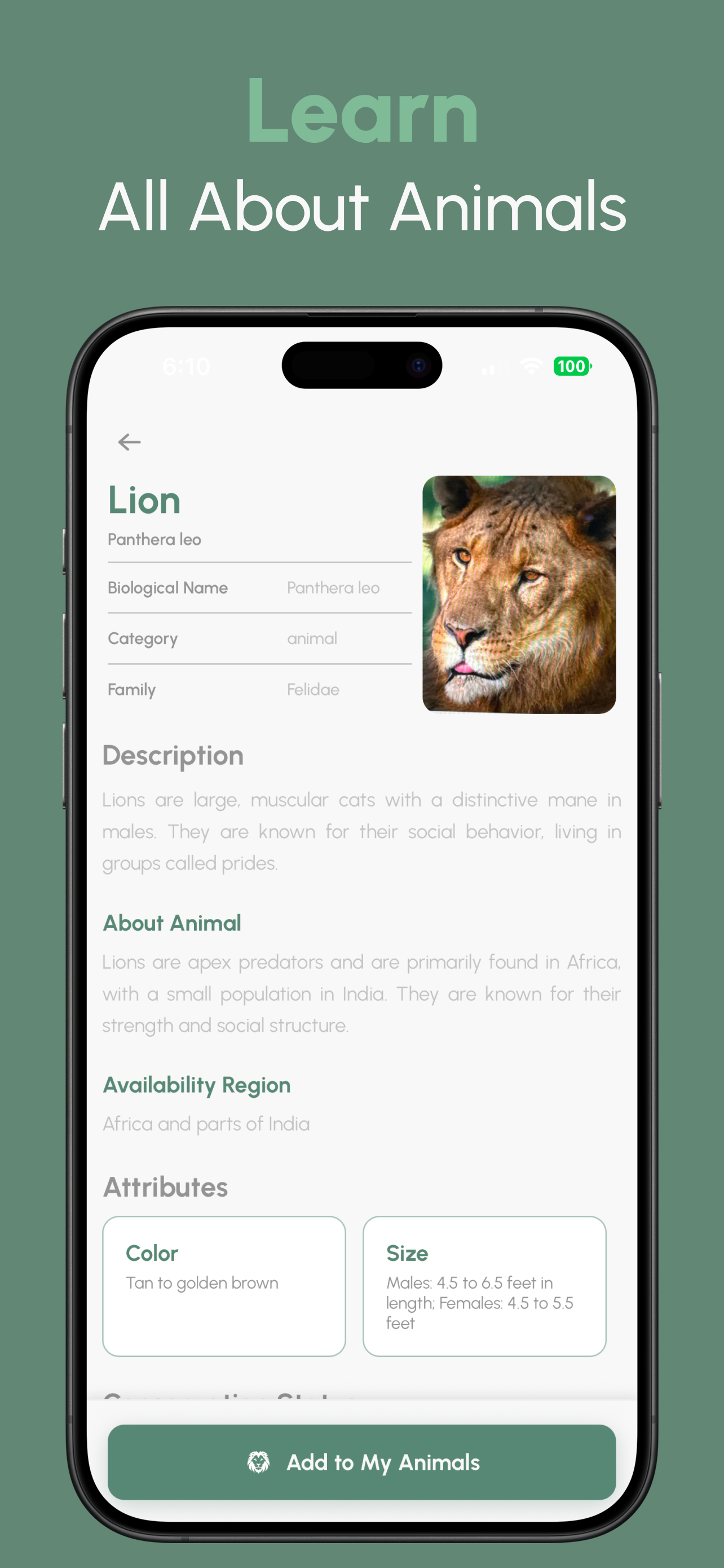 Animal Identifier: AI screenshot 3