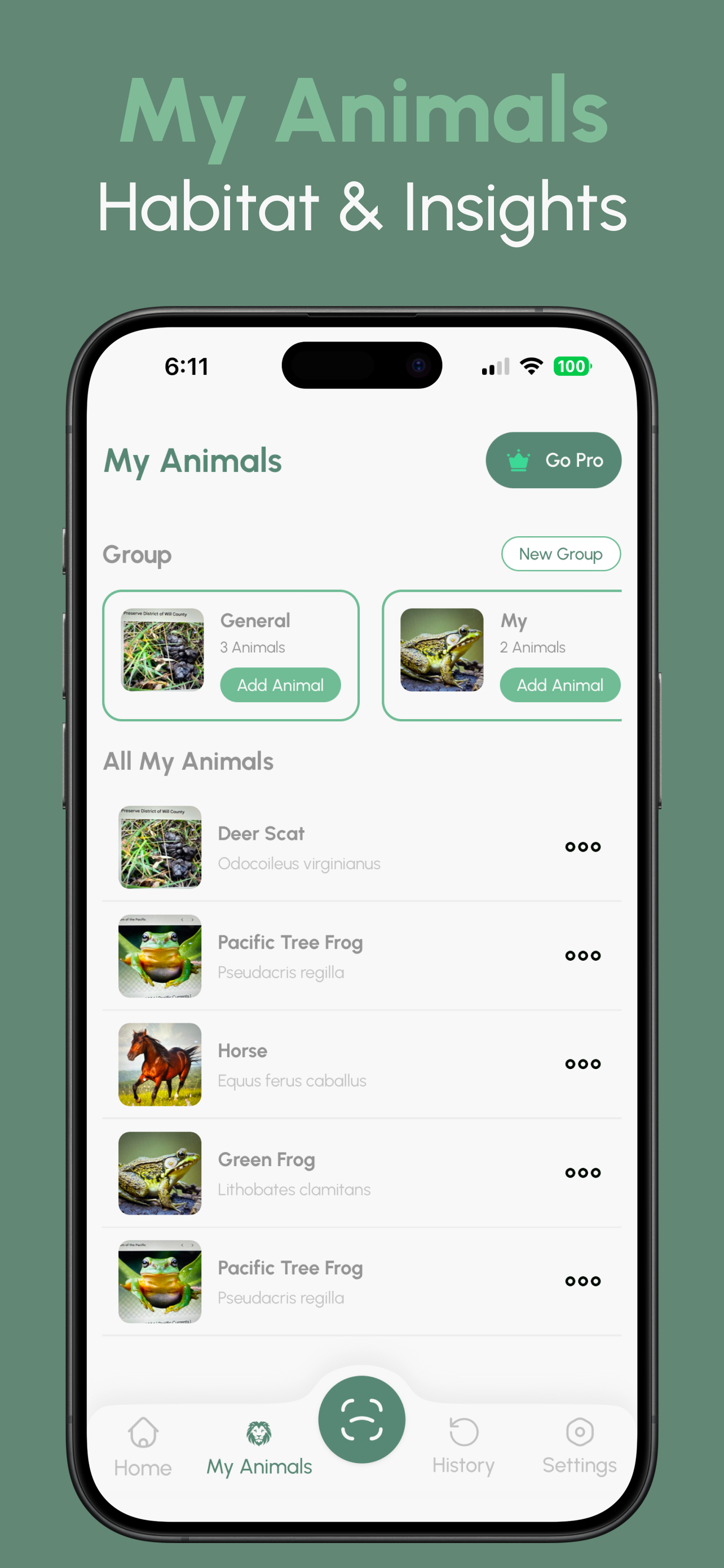 Animal Identifier: AI screenshot 4
