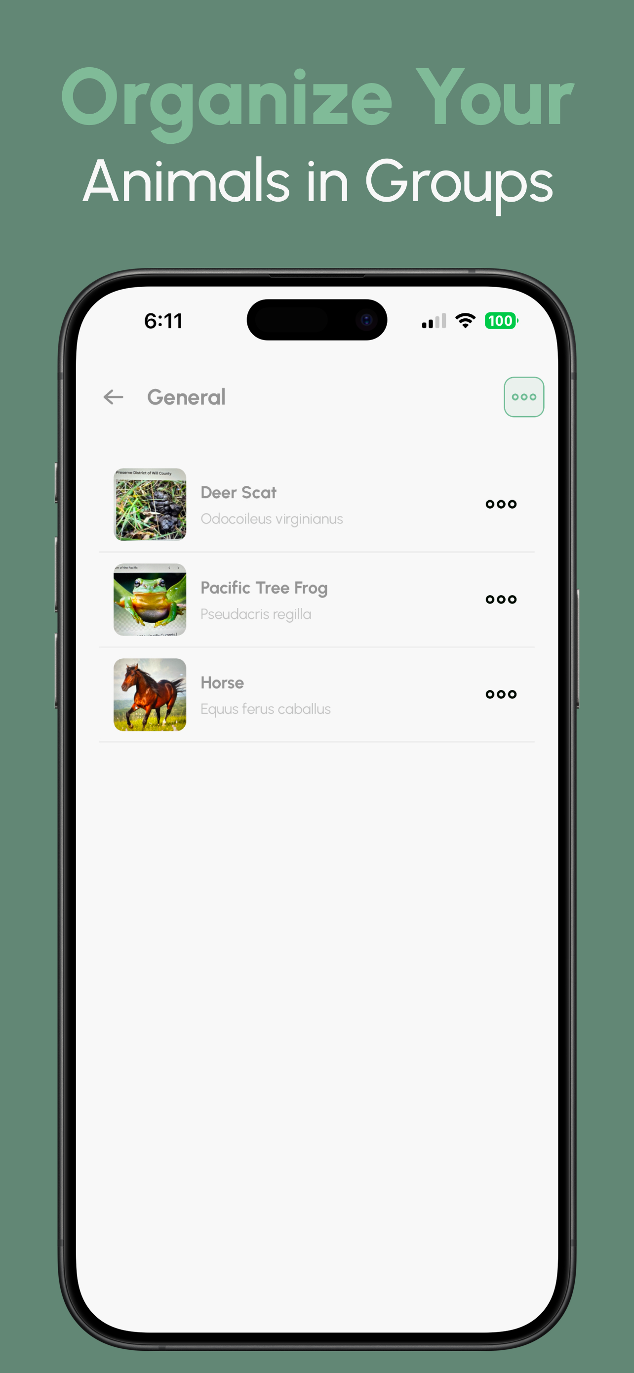 Animal Identifier: AI screenshot 5