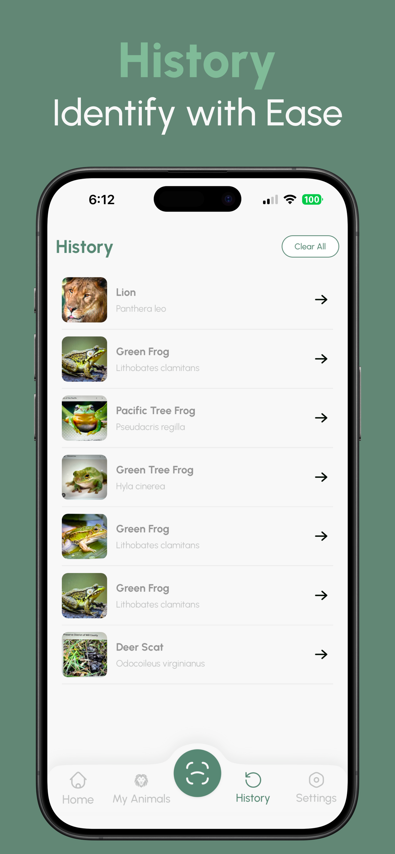 Animal Identifier: AI screenshot 6