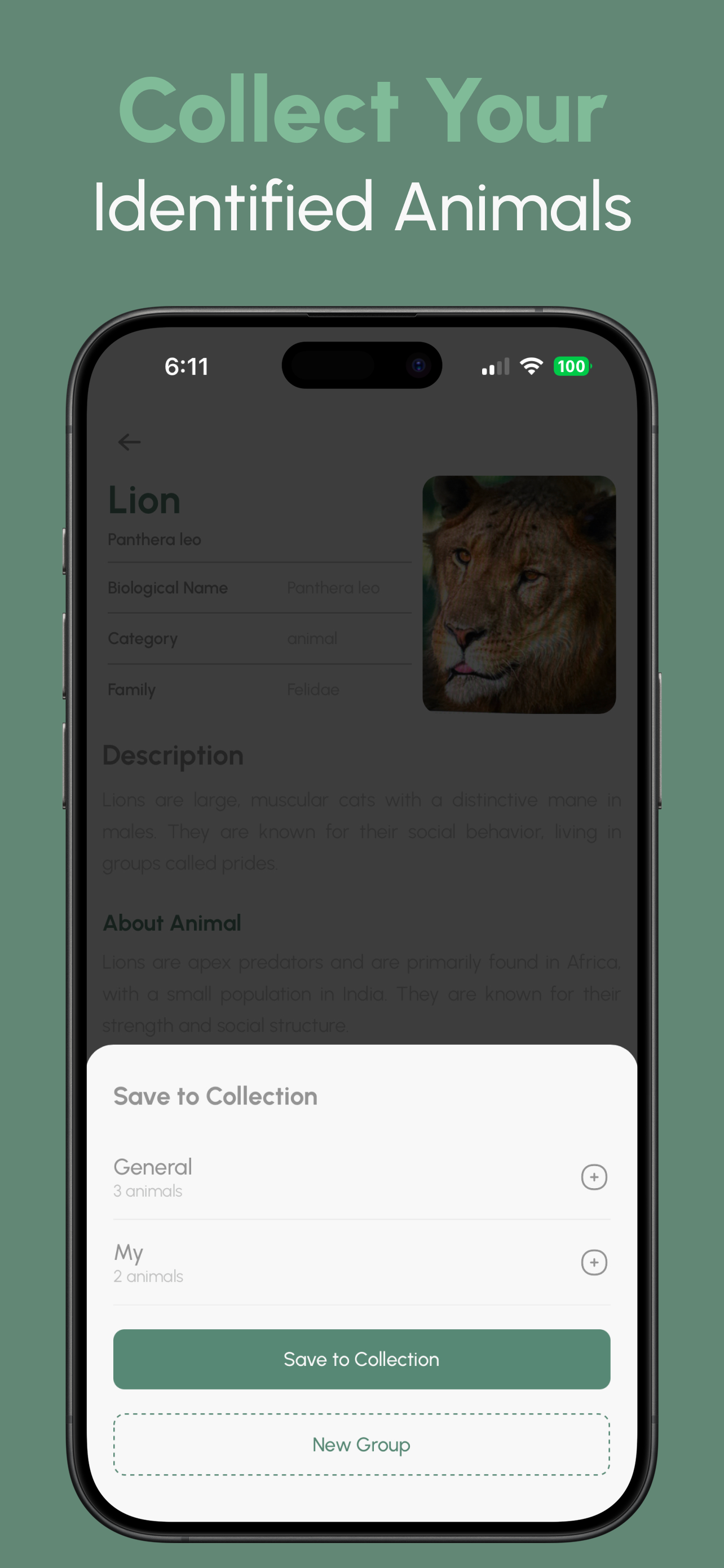 Animal Identifier: AI screenshot 7